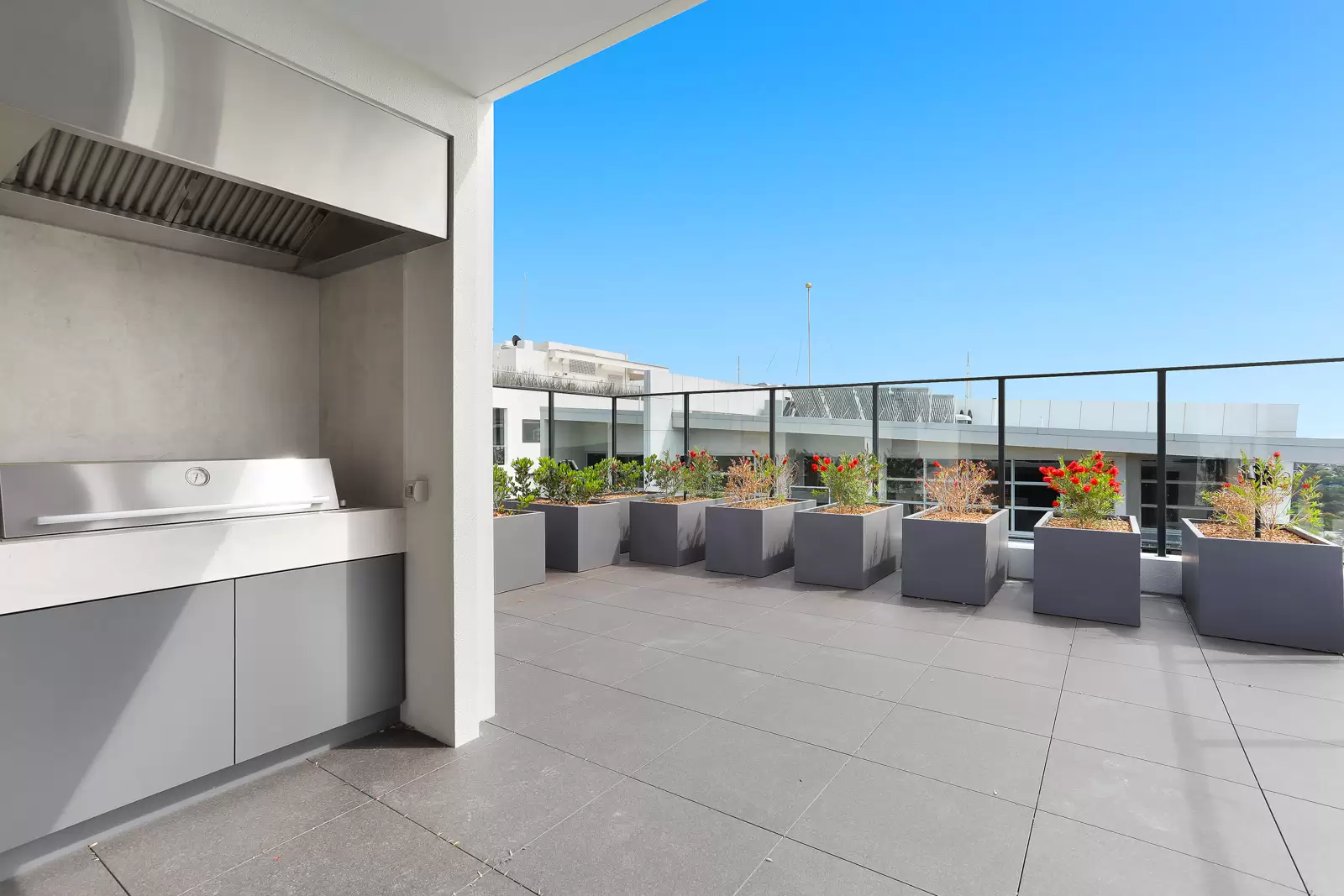 204/28 Albany Street, St Leonards Leased by Bradfield Badgerfox - image 1