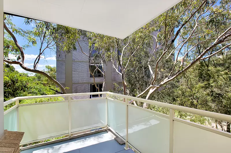 12/43-45 Penkivil Street, Bondi Leased by Bradfield Badgerfox - image 1