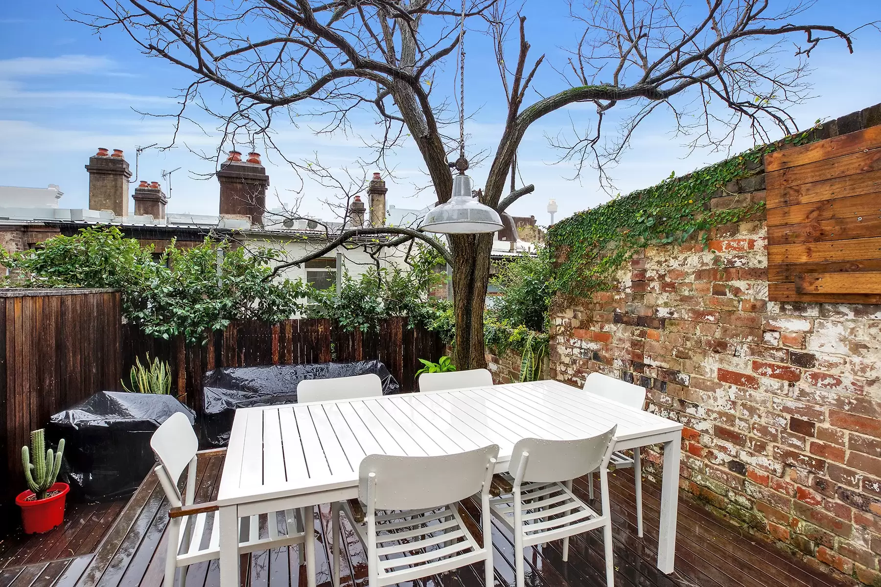 281 Forbes Street, Darlinghurst Leased by Bradfield Badgerfox - image 1