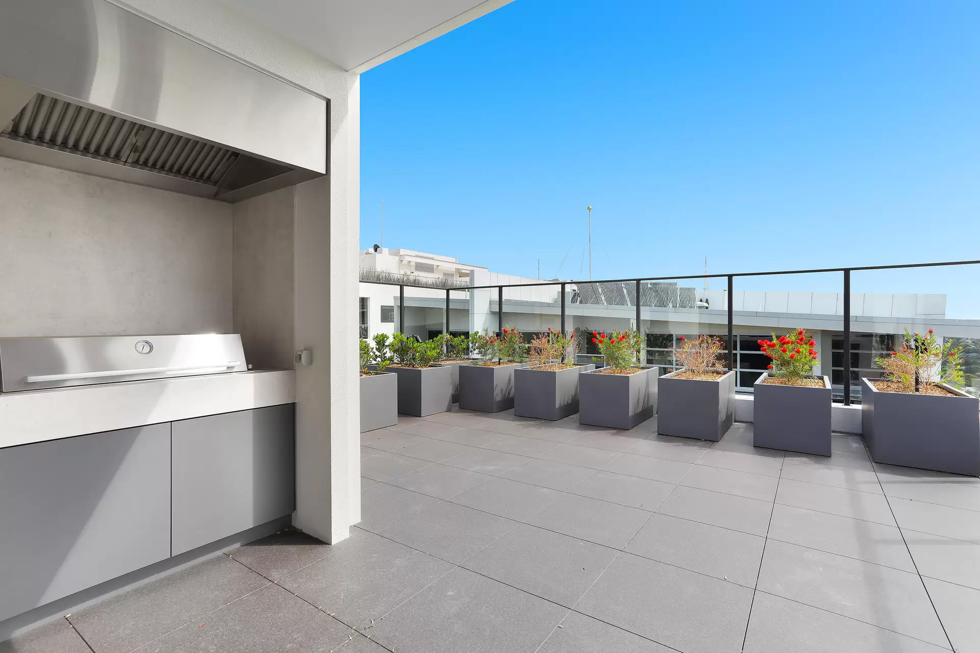 308/28 Albany Street, St Leonards Leased by Bradfield Badgerfox - image 1