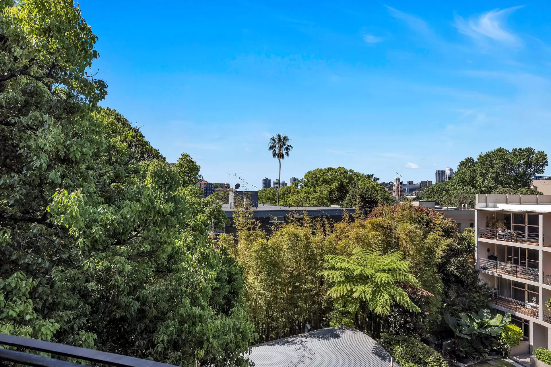 31/21-25 Waratah Street, Rushcutters Bay Leased by Bradfield Badgerfox - image 1