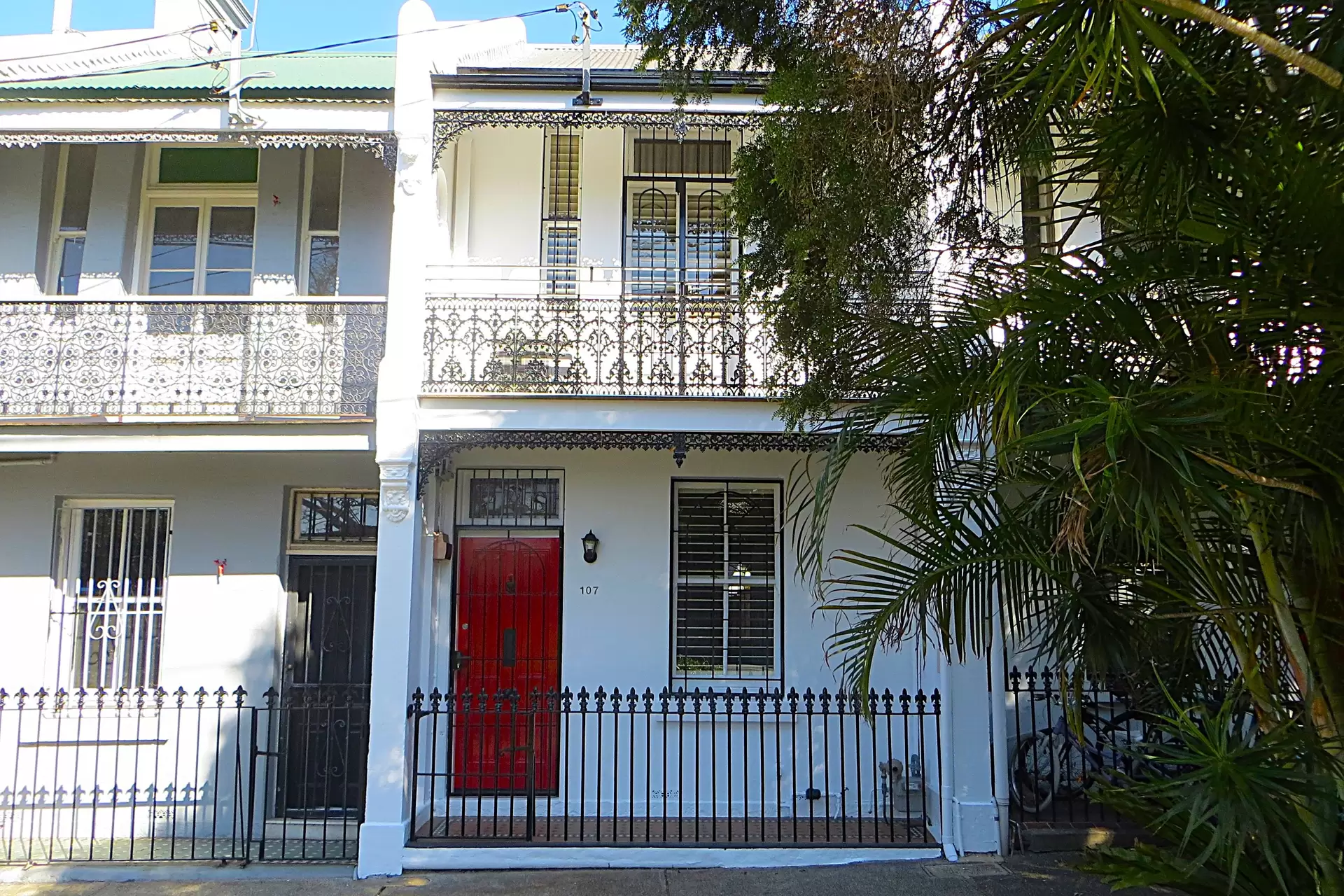 107 Greens Road, Paddington For Lease by Bradfield Badgerfox - image 1