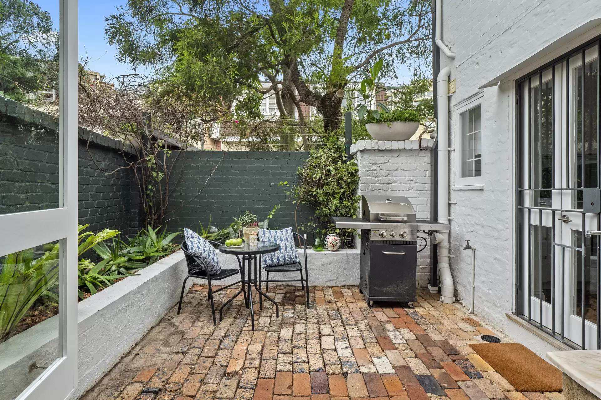 2 South Street, Edgecliff Leased by Bradfield Badgerfox - image 1