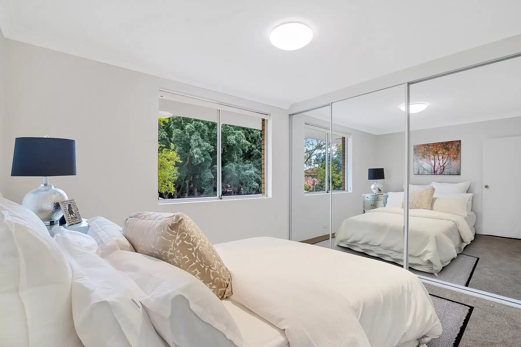 6/40 Waratah Avenue, Randwick Leased by Bradfield Badgerfox - image 1
