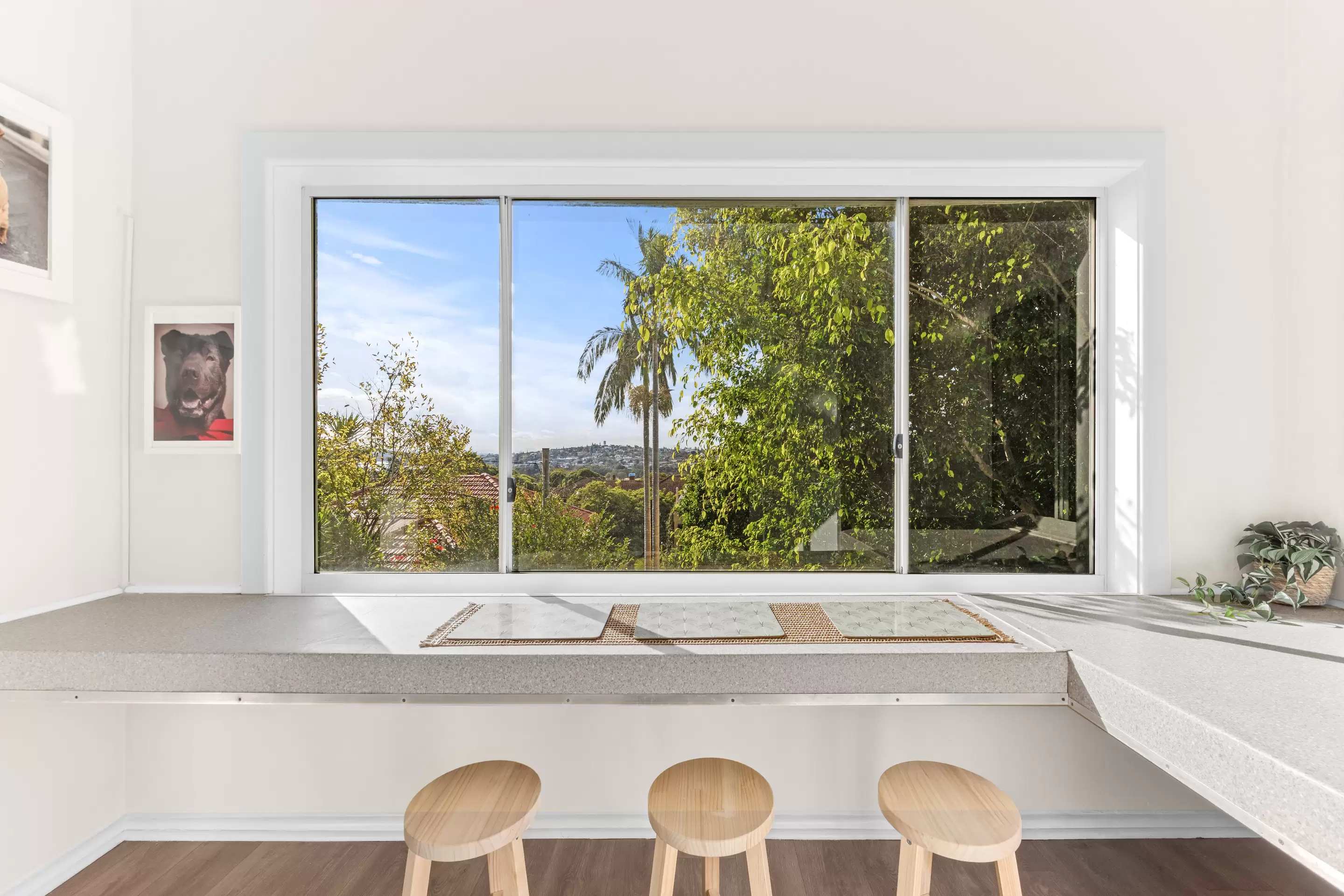 1/66 Birriga Road, Bellevue Hill Leased by Bradfield Badgerfox - image 1