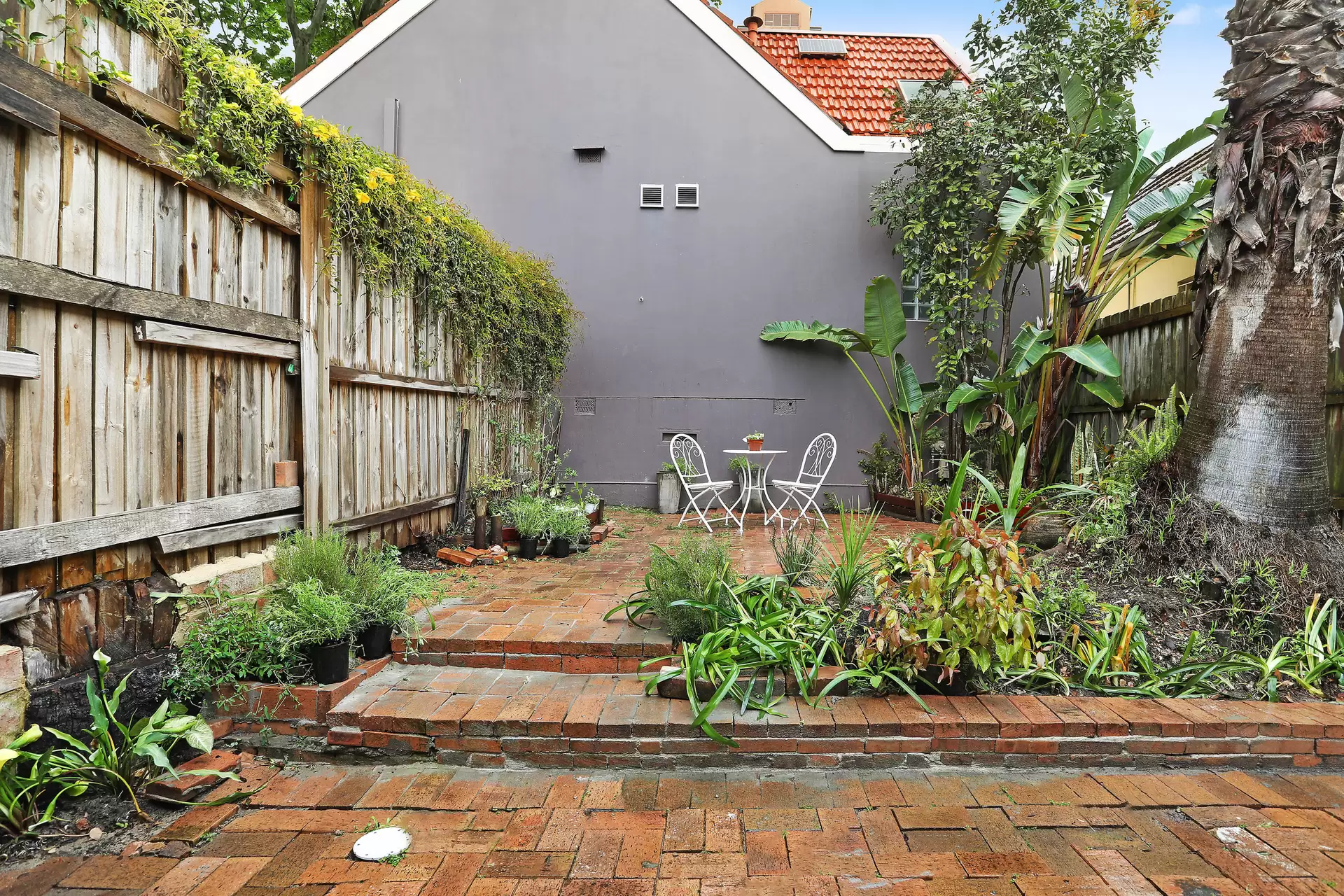 224 Edgecliff Road, Woollahra Leased by Bradfield Badgerfox - image 1