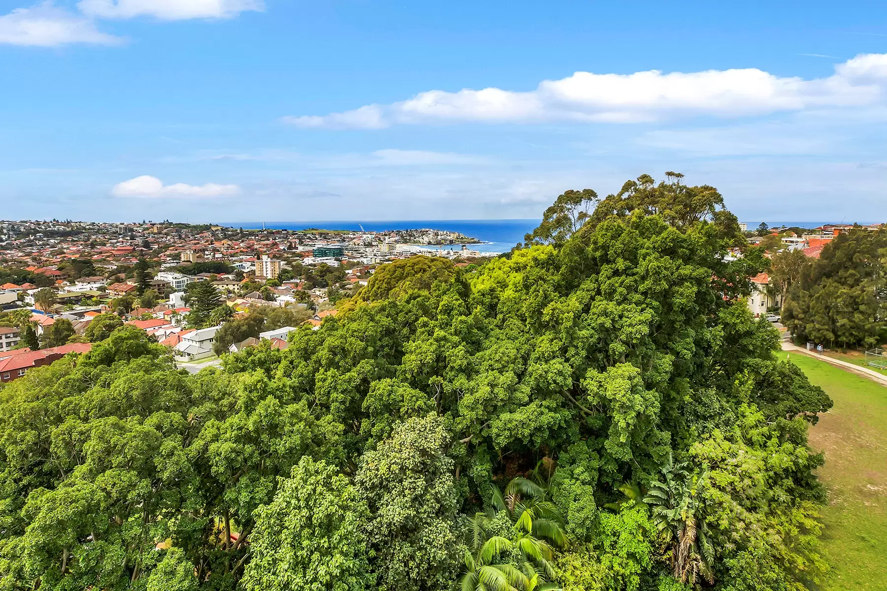 25/6 Ocean Street, Bondi Leased by Bradfield Badgerfox - image 1
