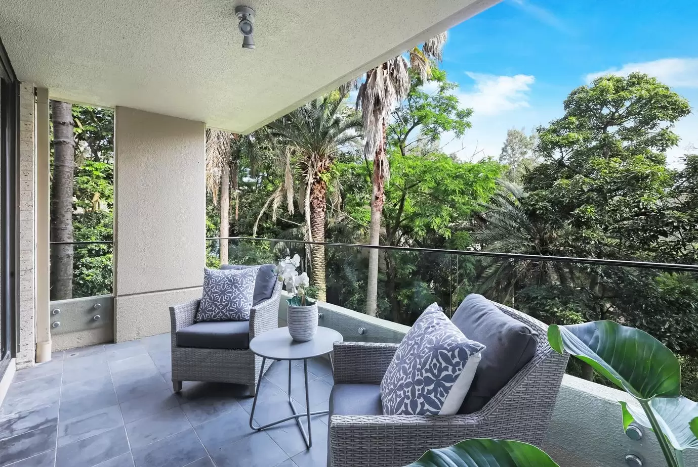 61/4 New McLean Street, Edgecliff Leased by Bradfield Badgerfox - image 1