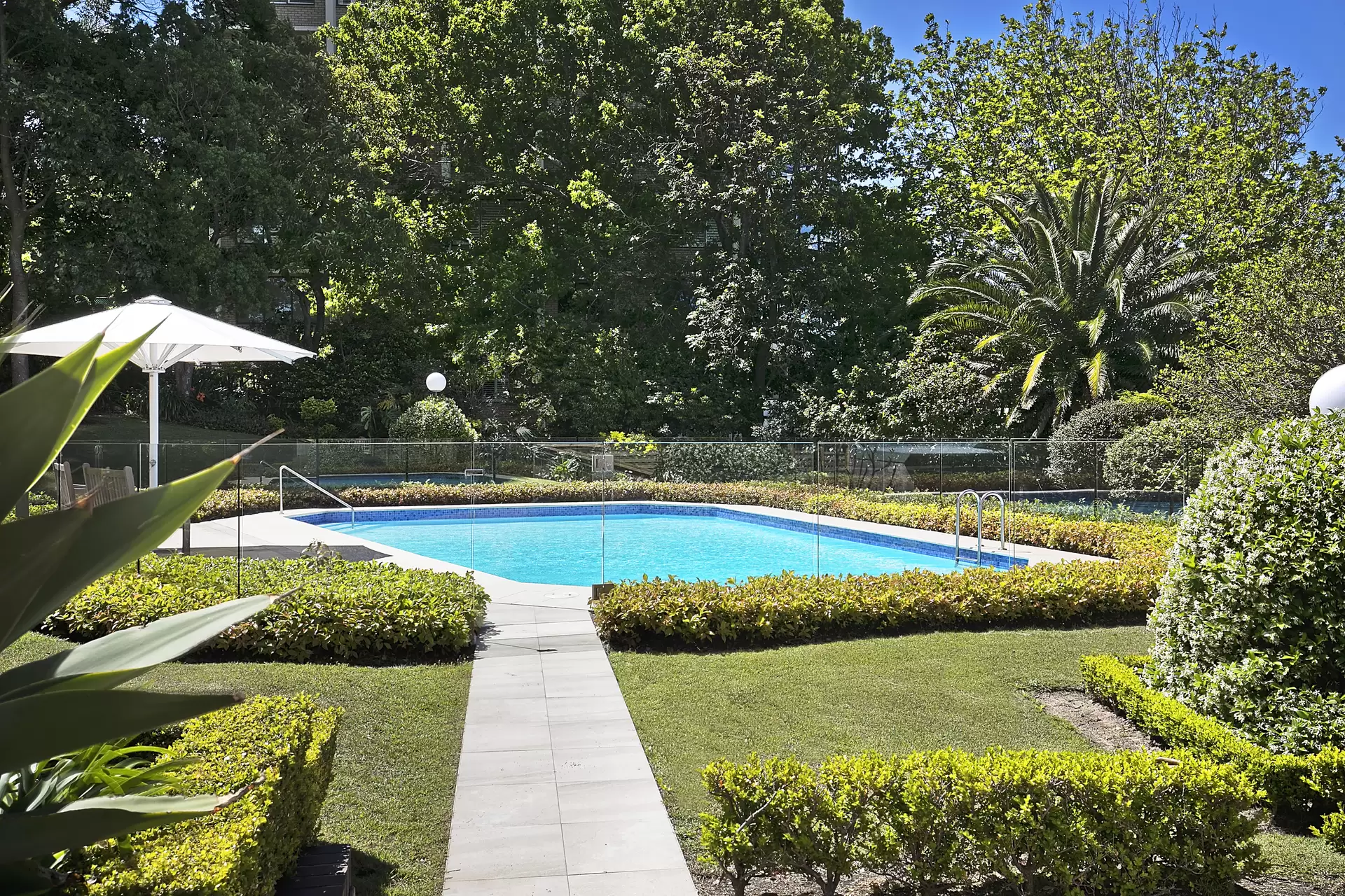 13/2 Eastbourne Road, Darling Point Leased by Bradfield Badgerfox - image 1