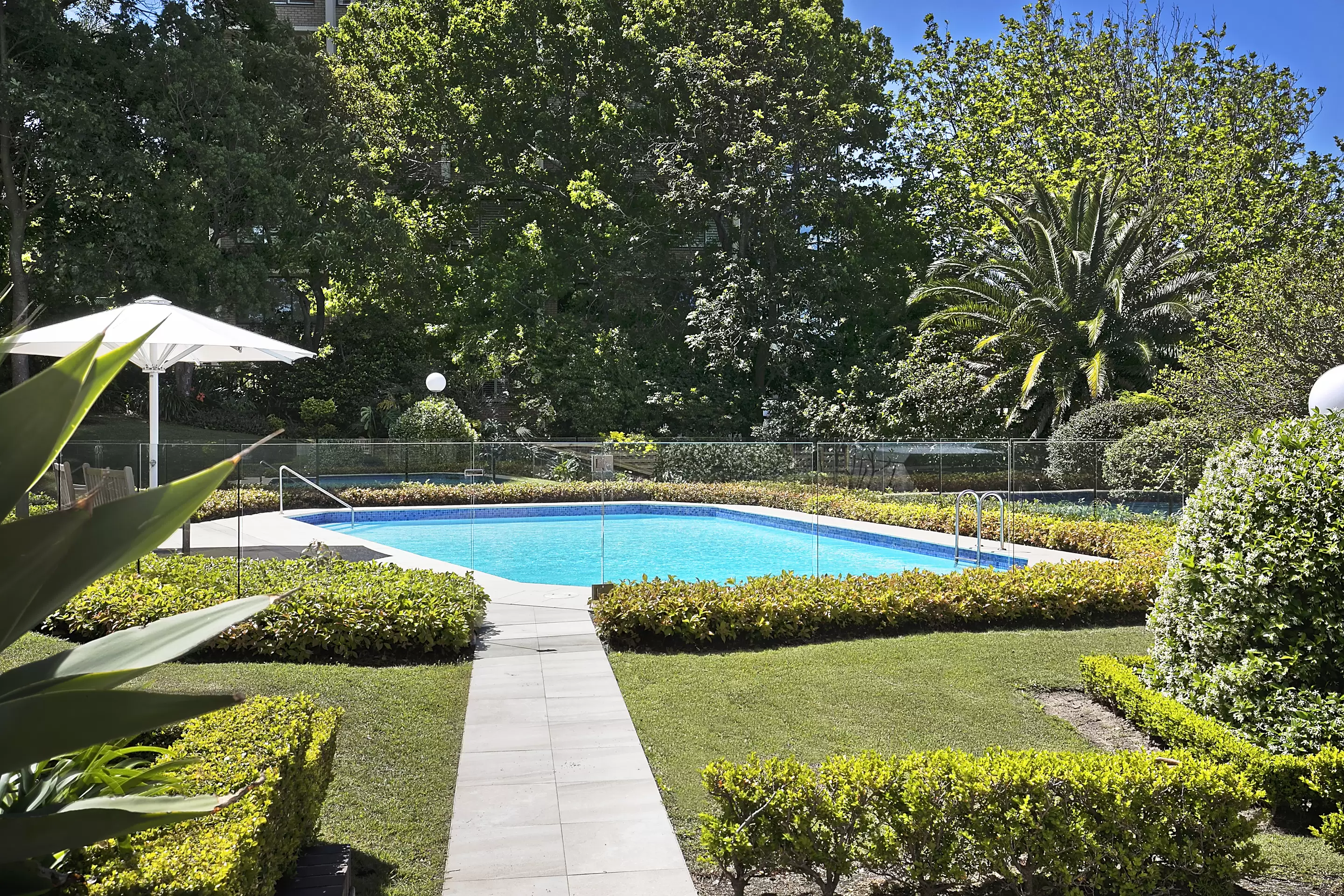 13/2 Eastbourne Road, Darling Point Leased by Bradfield Badgerfox - image 1
