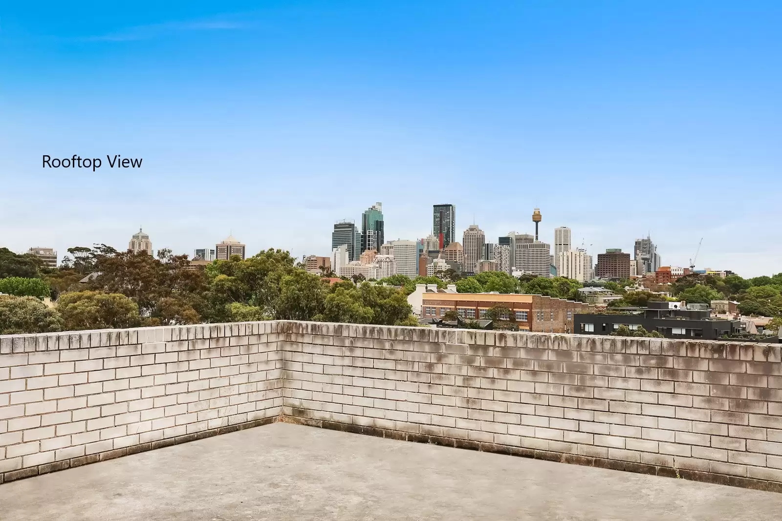 8/679 Bourke Street, Surry Hills Leased by Bradfield Badgerfox - image 1