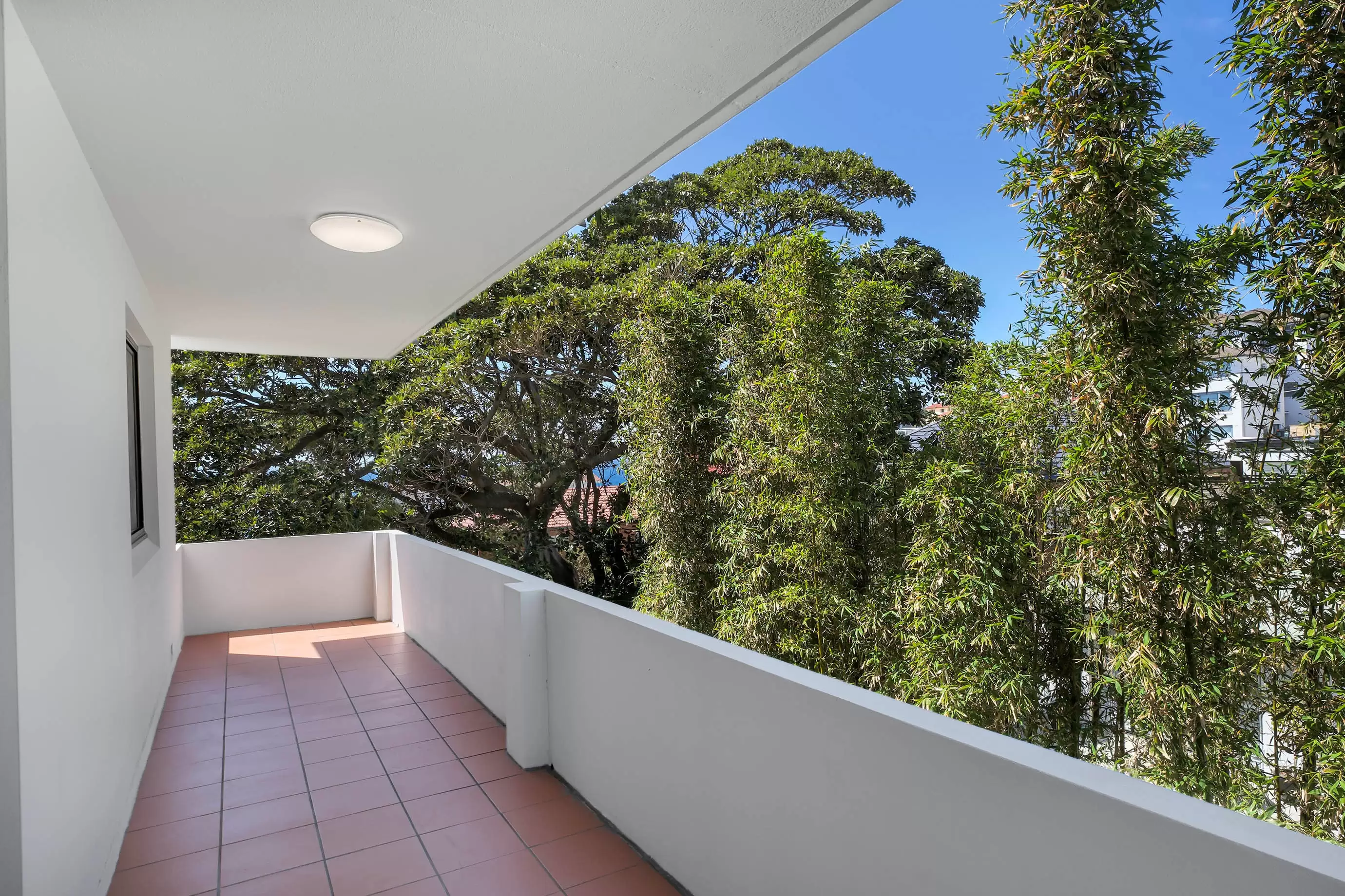 3/41-43 Oceanview Avenue, Dover Heights Leased by Bradfield Badgerfox - image 1
