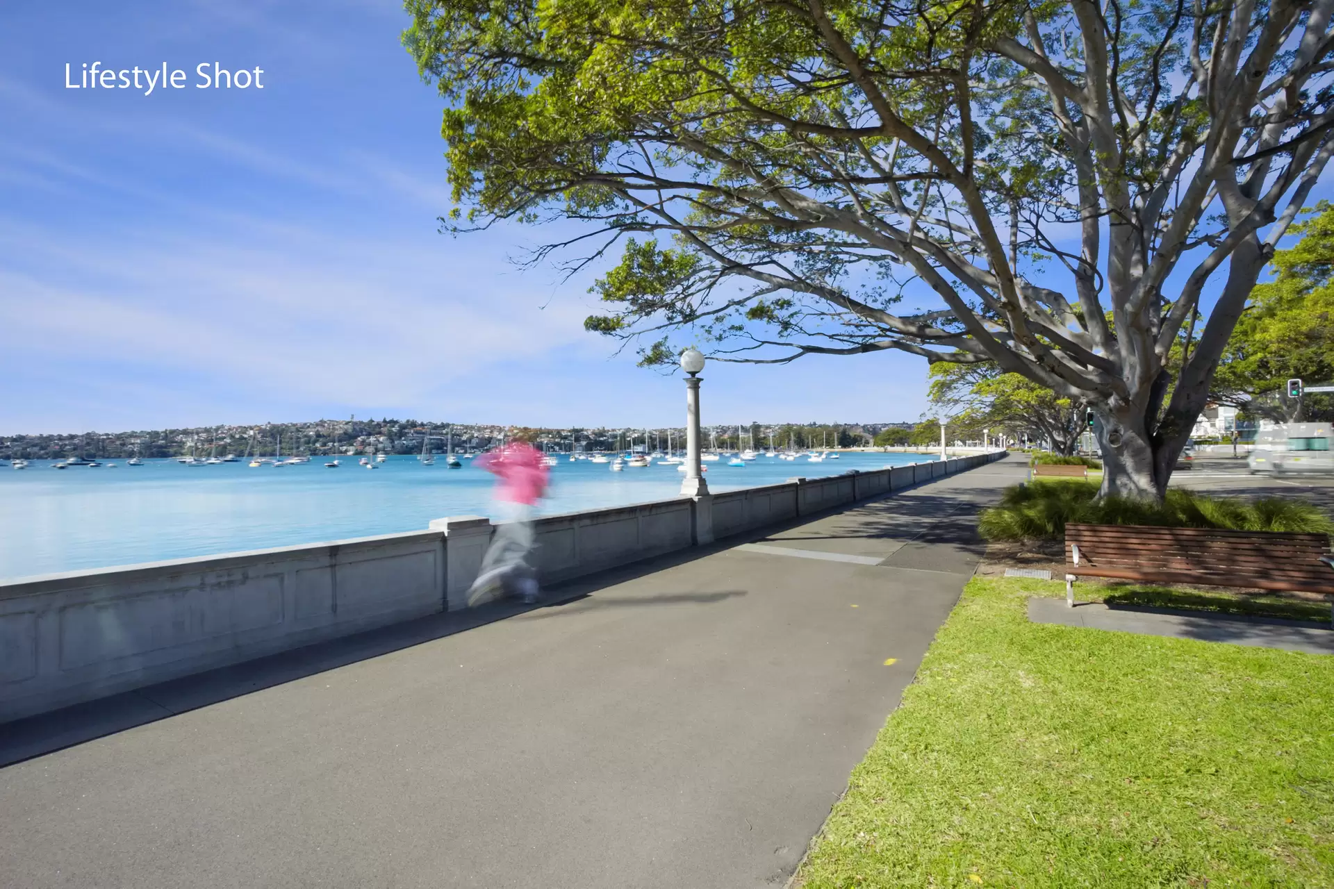 3/670 New South Head Road, Rose Bay For Lease by Bradfield Badgerfox - image 1