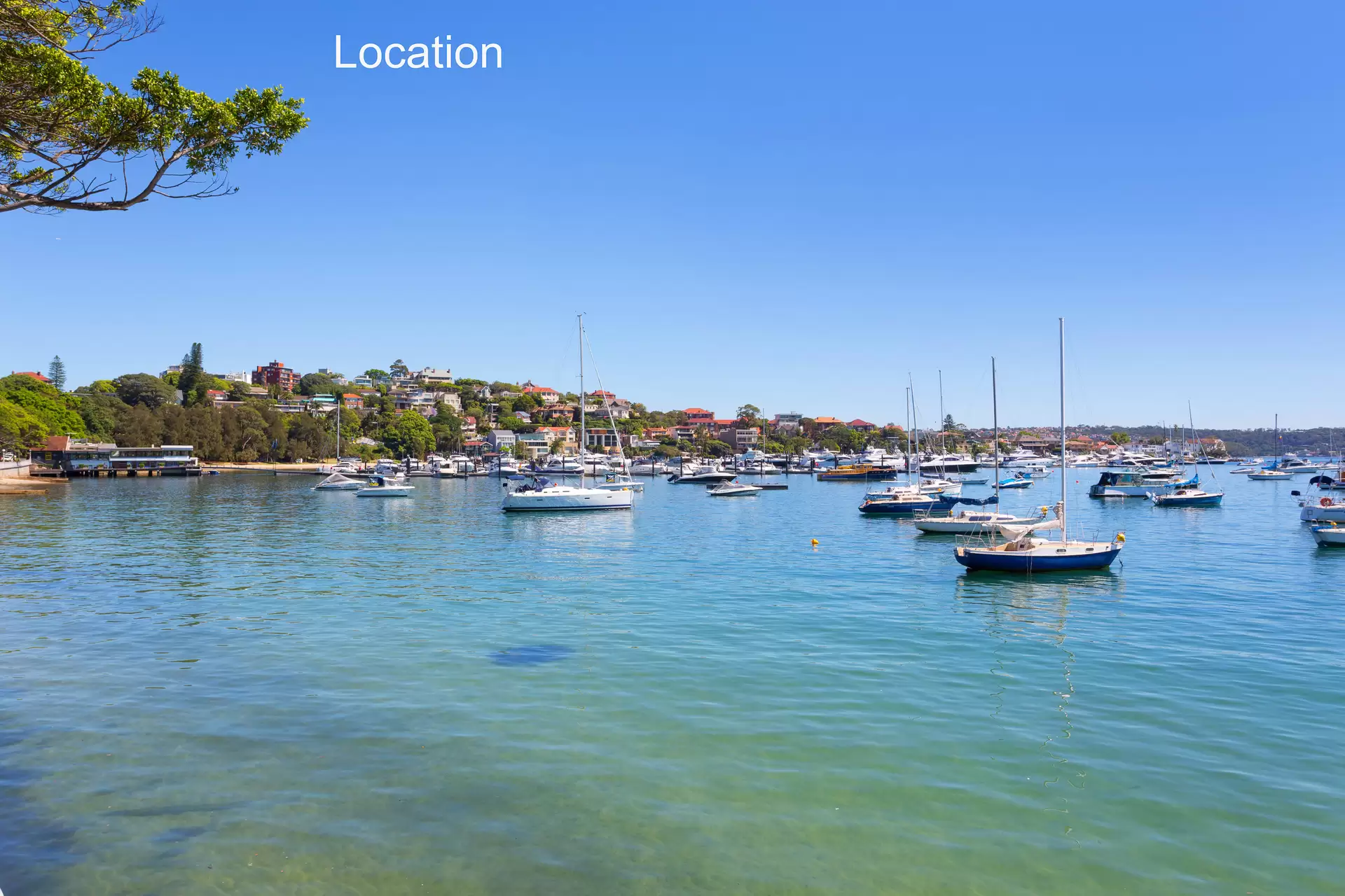 3/670 New South Head Road, Rose Bay For Lease by Bradfield Badgerfox - image 1