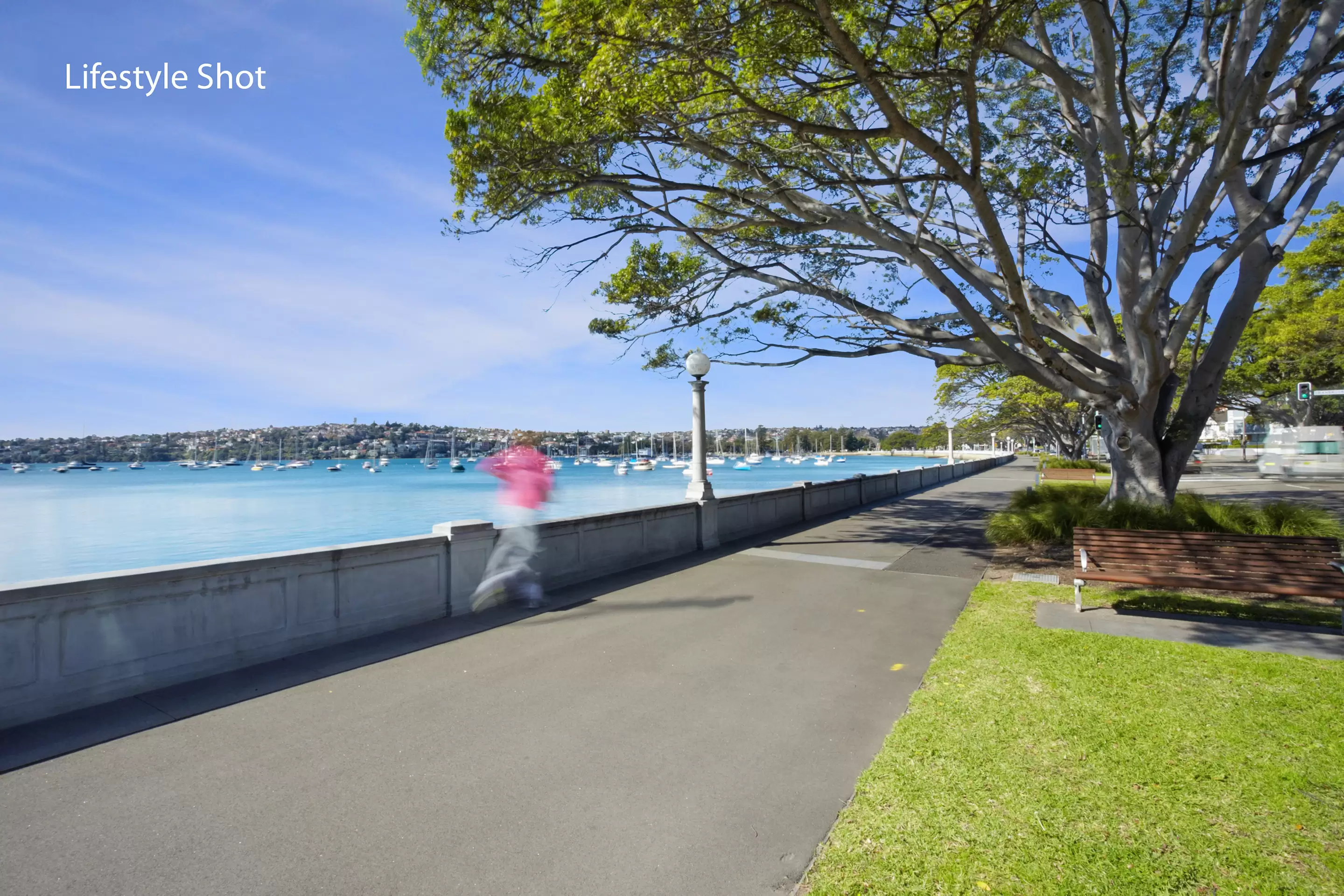 3/670 New South Head Road, Rose Bay For Lease by Bradfield Badgerfox - image 1