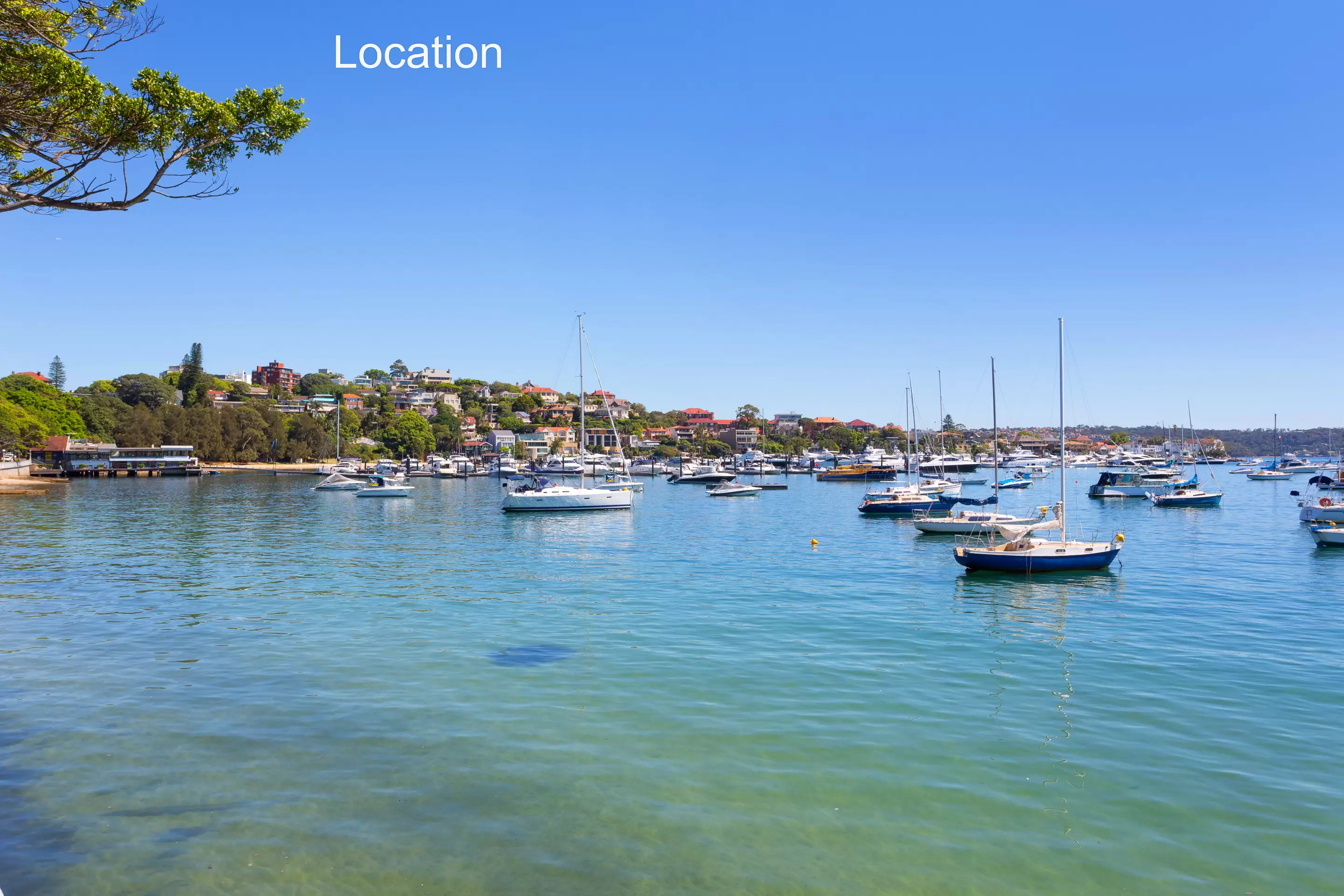 3/670 New South Head Road, Rose Bay For Lease by Bradfield Badgerfox - image 1