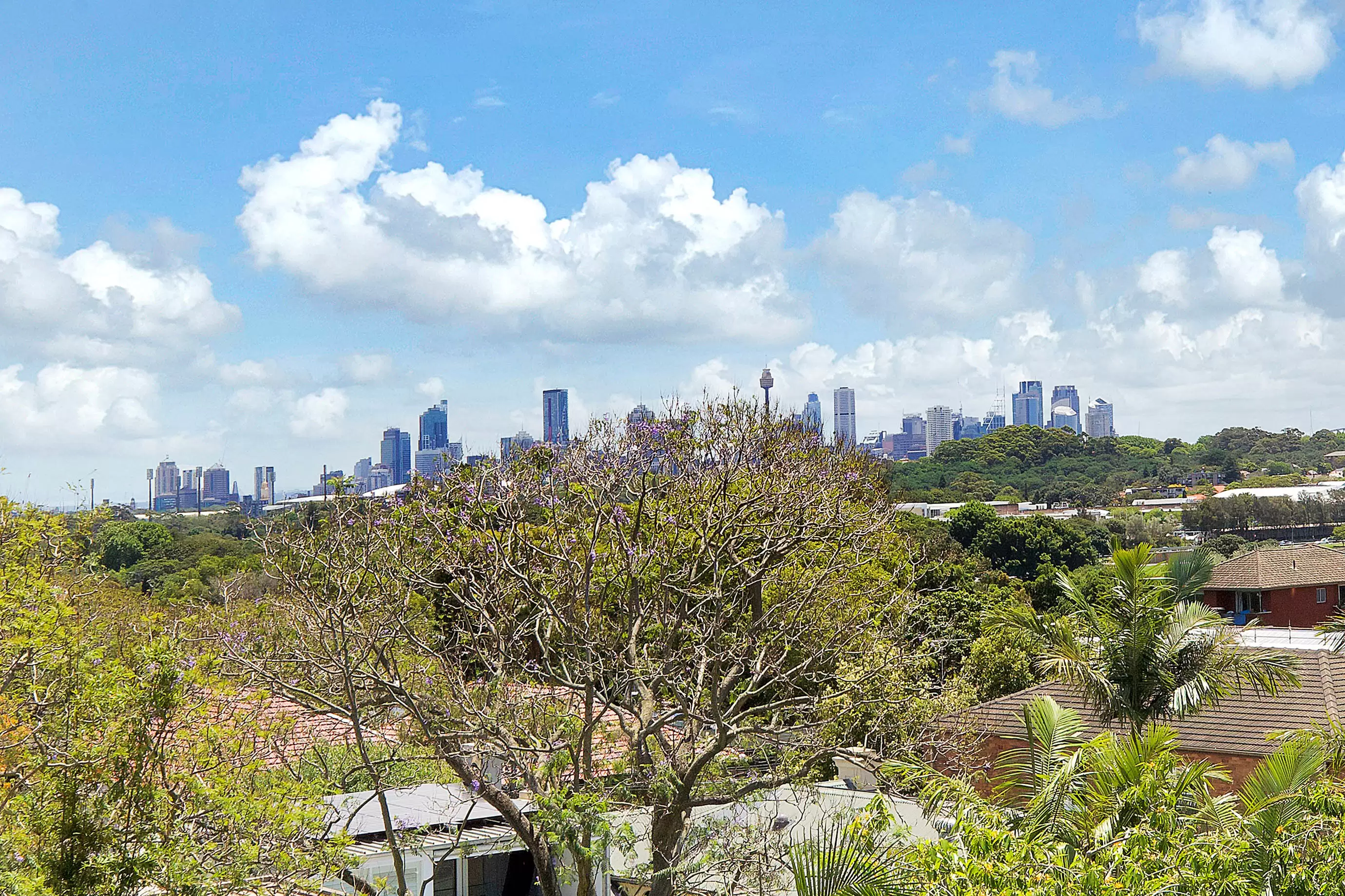 12/51 Gilderthorpe Avenue, Randwick Leased by Bradfield Badgerfox - image 1