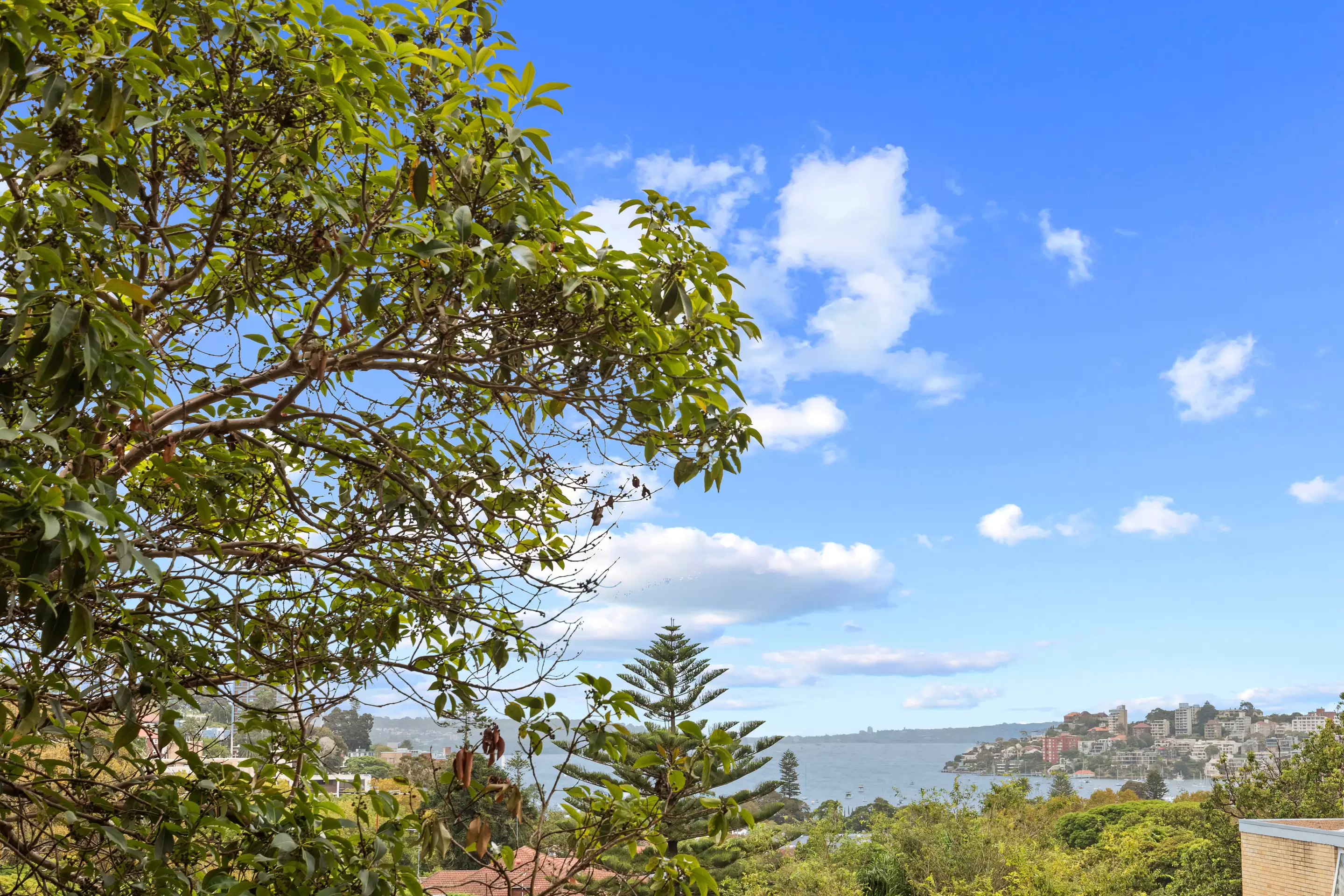 5/230 New South Head Road, Edgecliff Leased by Bradfield Badgerfox - image 1