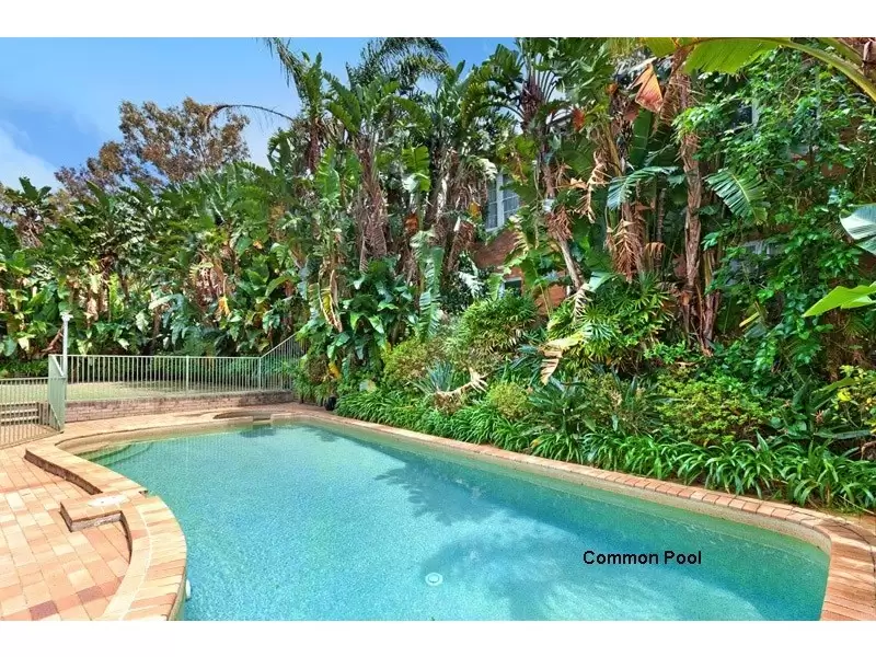 11/156 Old South Head Road, Bellevue Hill Leased by Bradfield Badgerfox - image 1