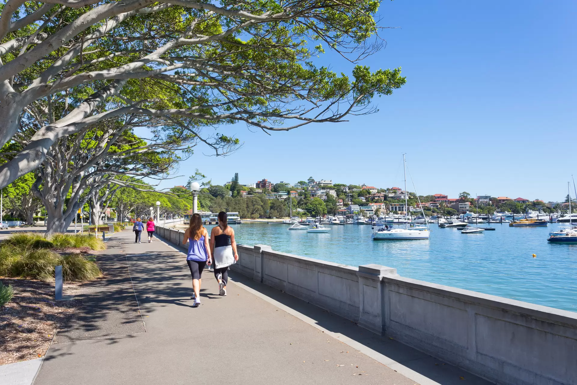 3/637 New South Head Road, Rose Bay Leased by Bradfield Badgerfox - image 1