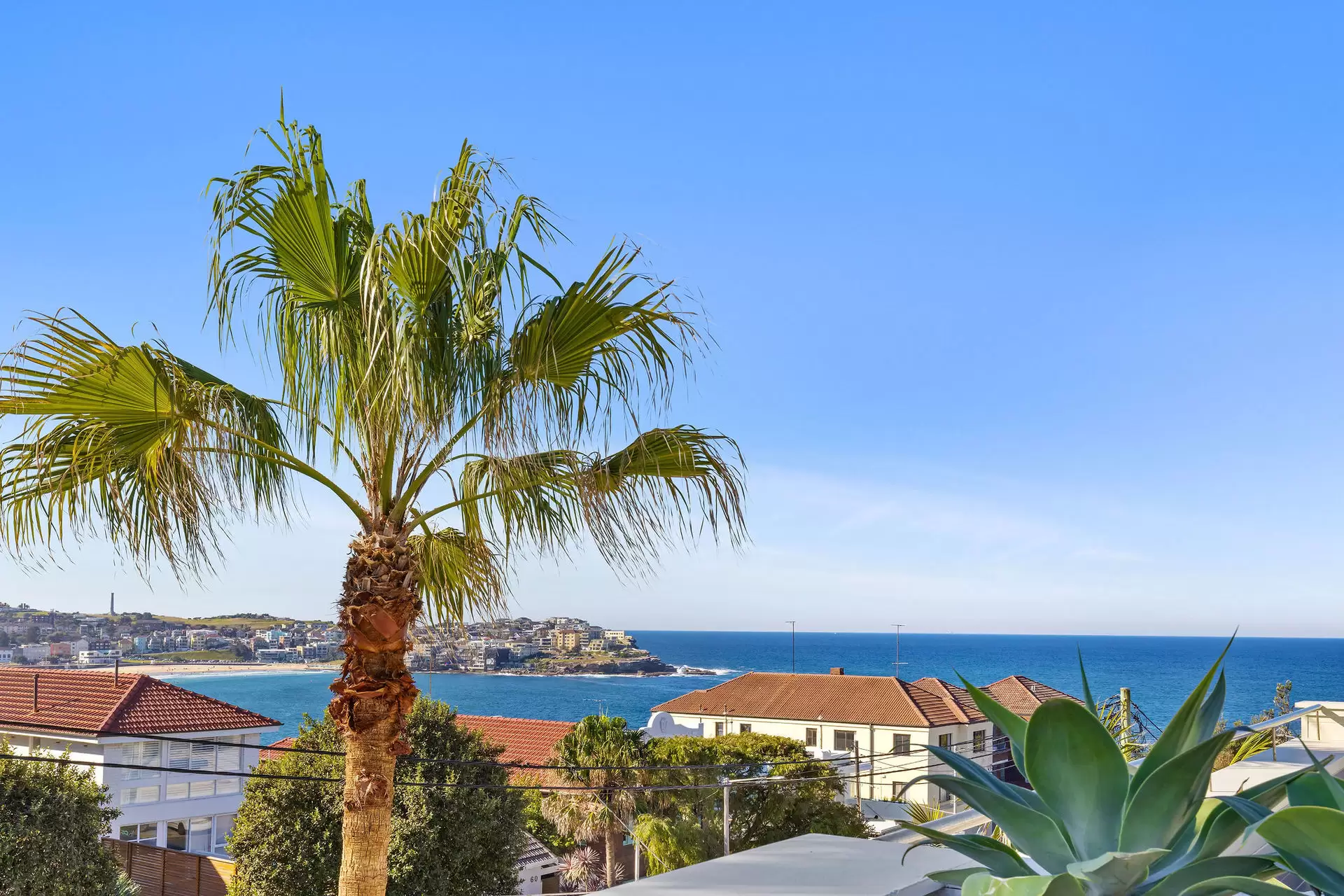 79a Fletcher Street, Tamarama Sold by Bradfield Badgerfox - image 1