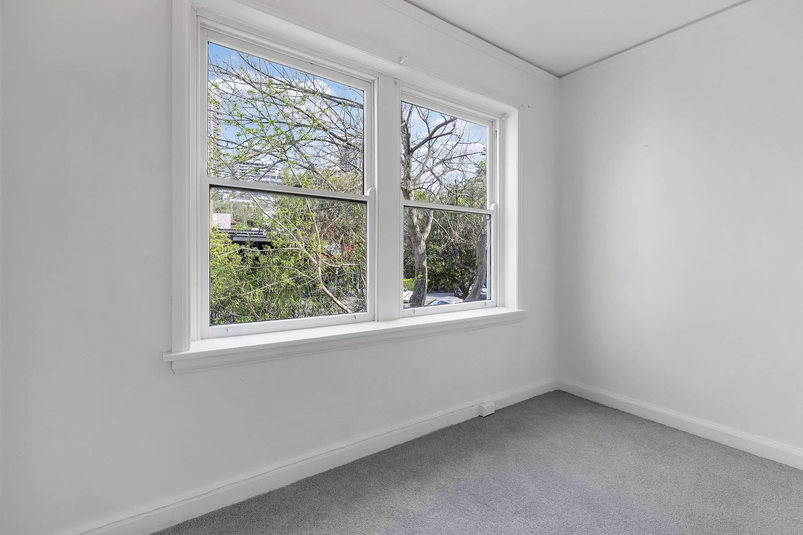 17/169 Edgecliff Road, Woollahra Leased by Bradfield Badgerfox - image 1