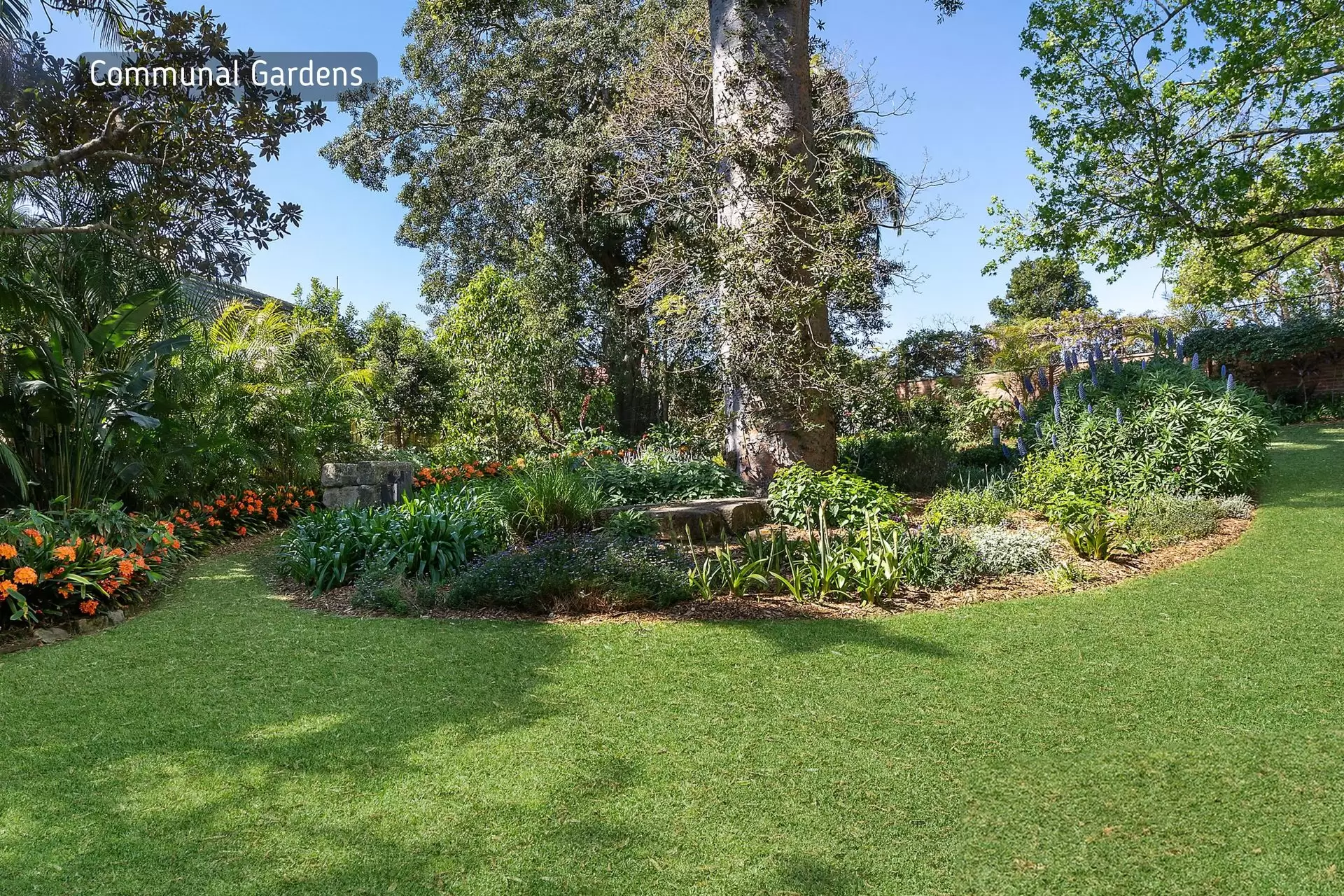 13/16-18 Rosemont Avenue, Woollahra Auction by Bradfield Badgerfox - image 1