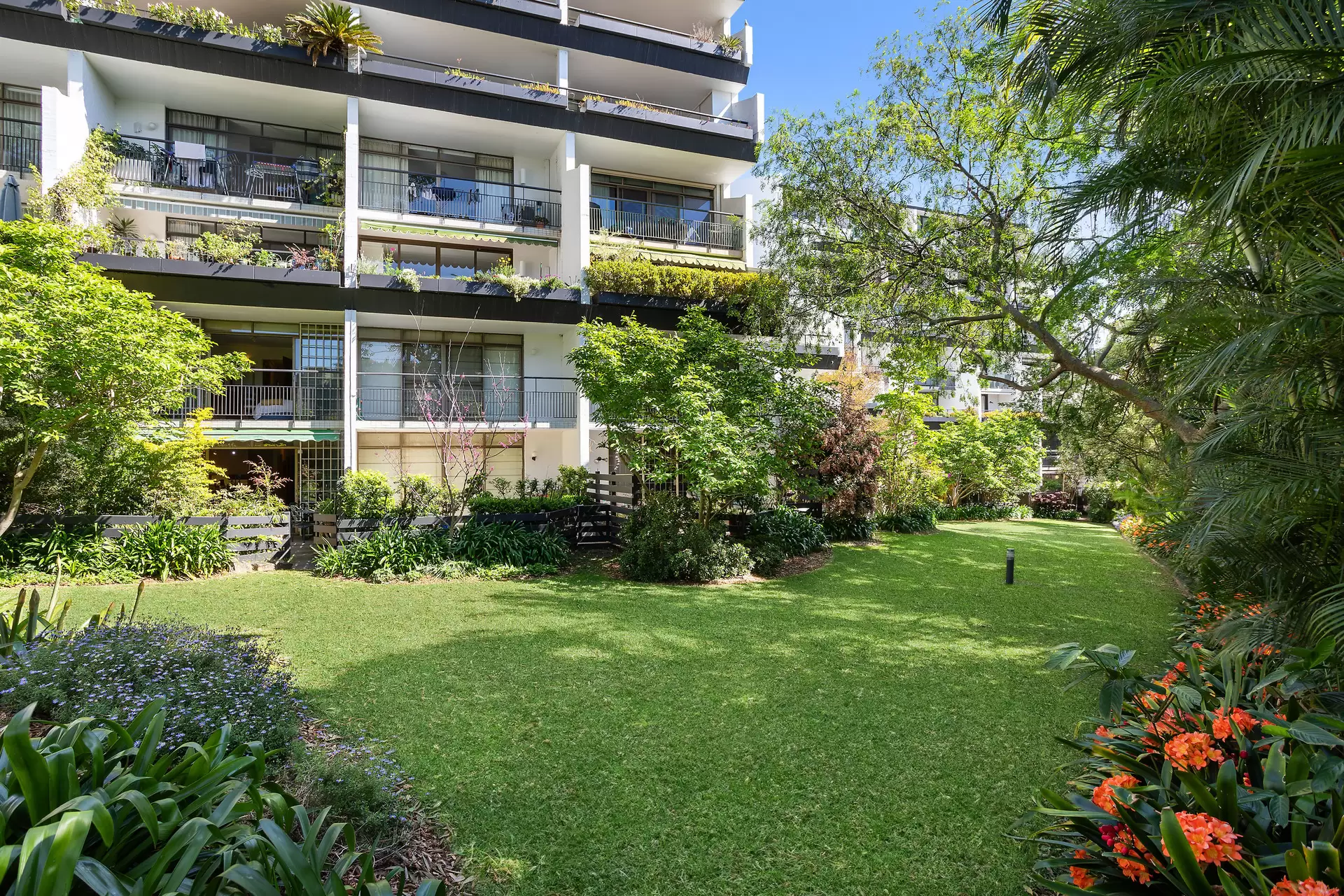 13/16-18 Rosemont Avenue, Woollahra Auction by Bradfield Badgerfox - image 1