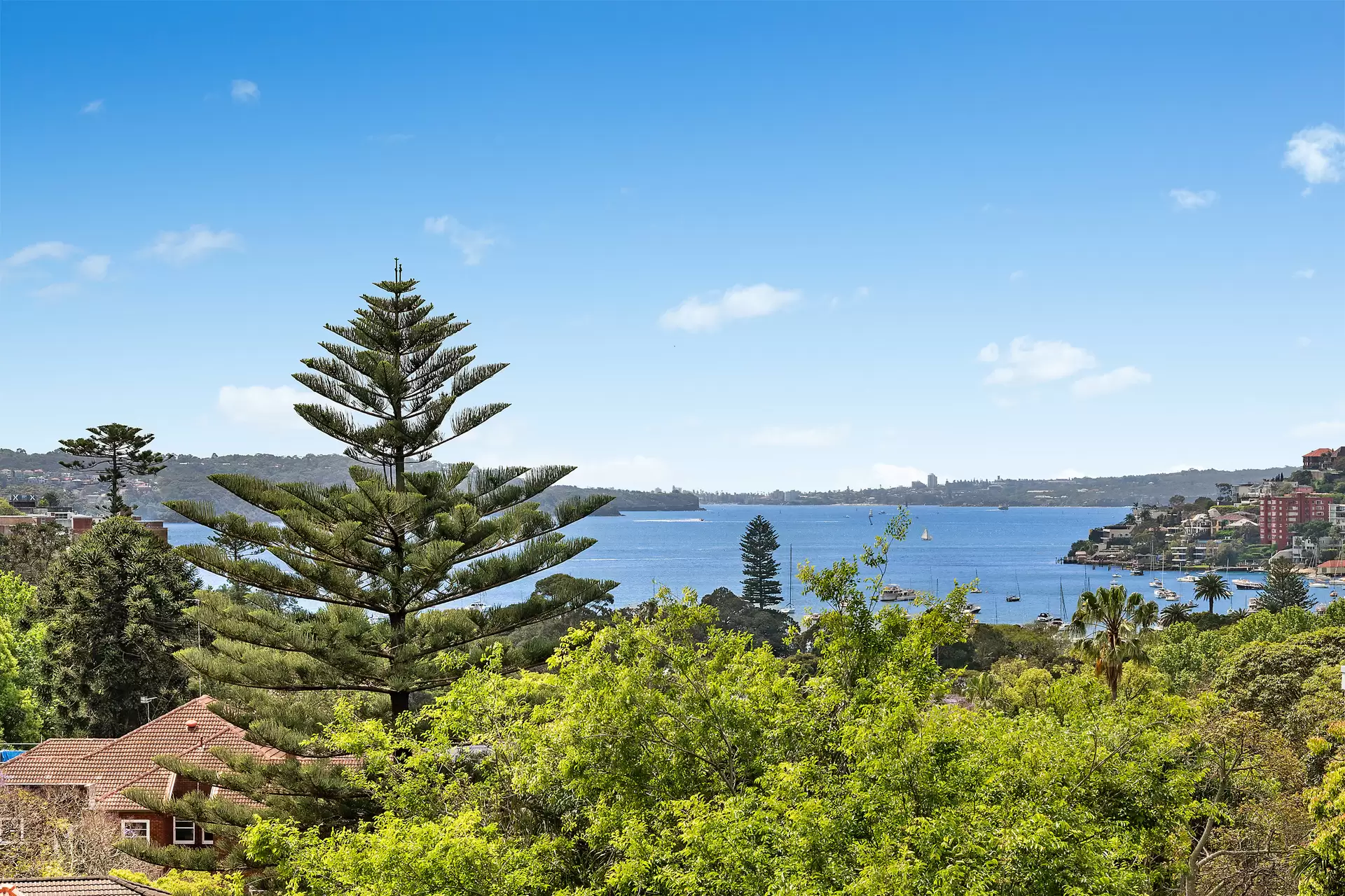 6/230-238 New South Head Road, Edgecliff Auction by Bradfield Badgerfox - image 1