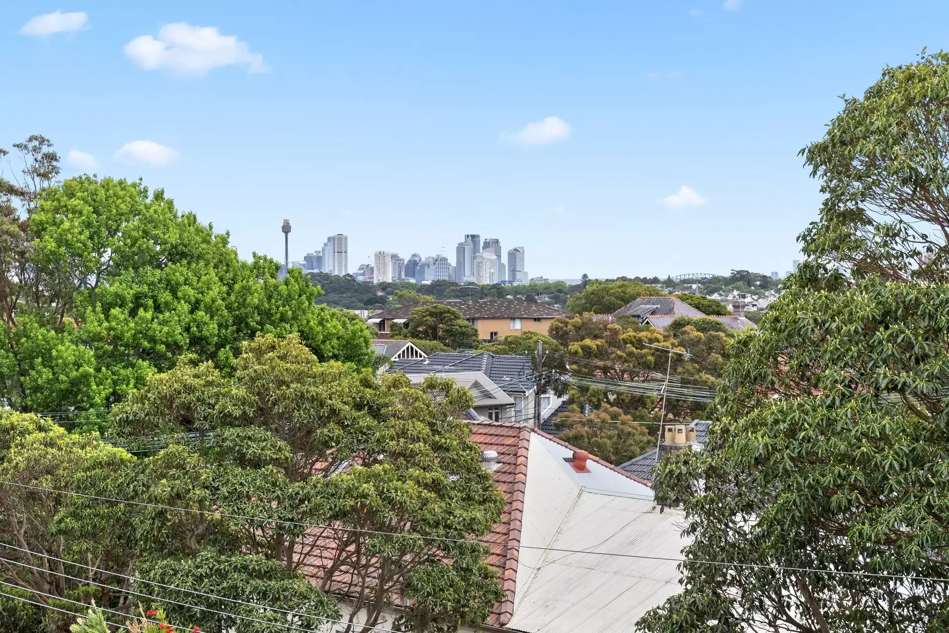 71 Hooper Street, Randwick Auction by Bradfield Badgerfox - image 1