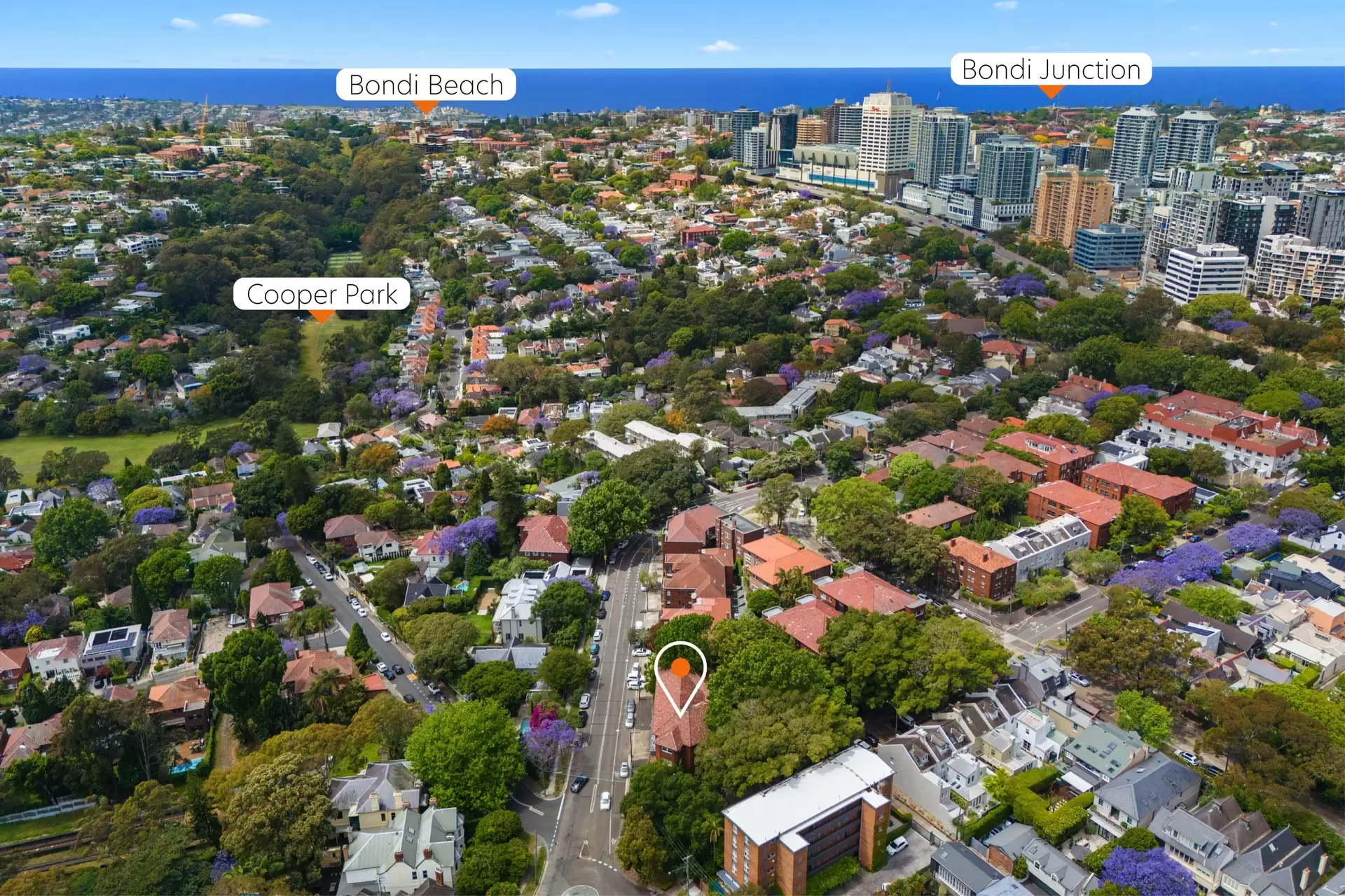 1/39 Nelson Street, Woollahra Auction by Bradfield Badgerfox - image 1