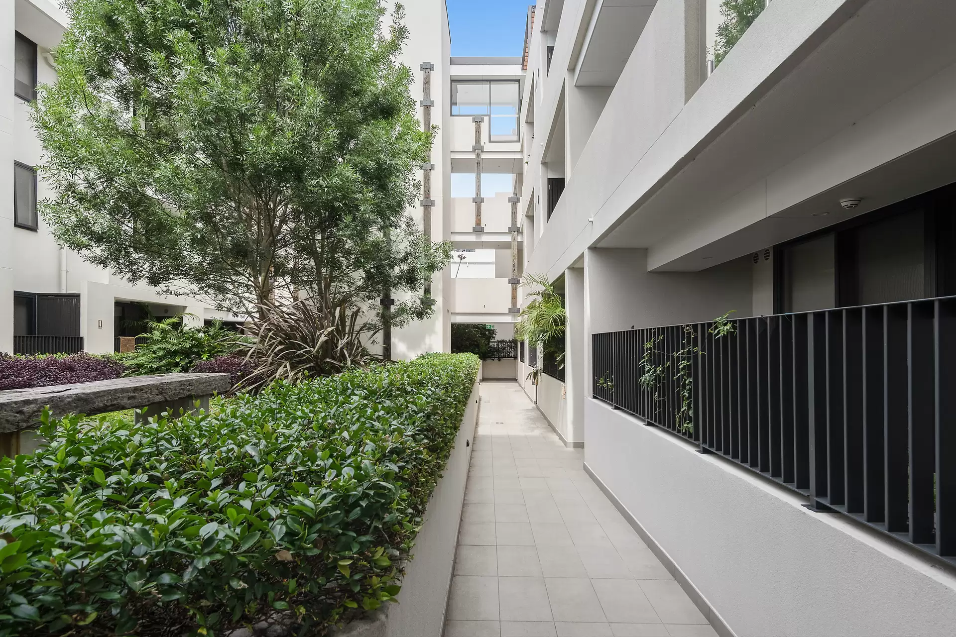 33/6 Danks Street, Waterloo Auction by Bradfield Badgerfox - image 1