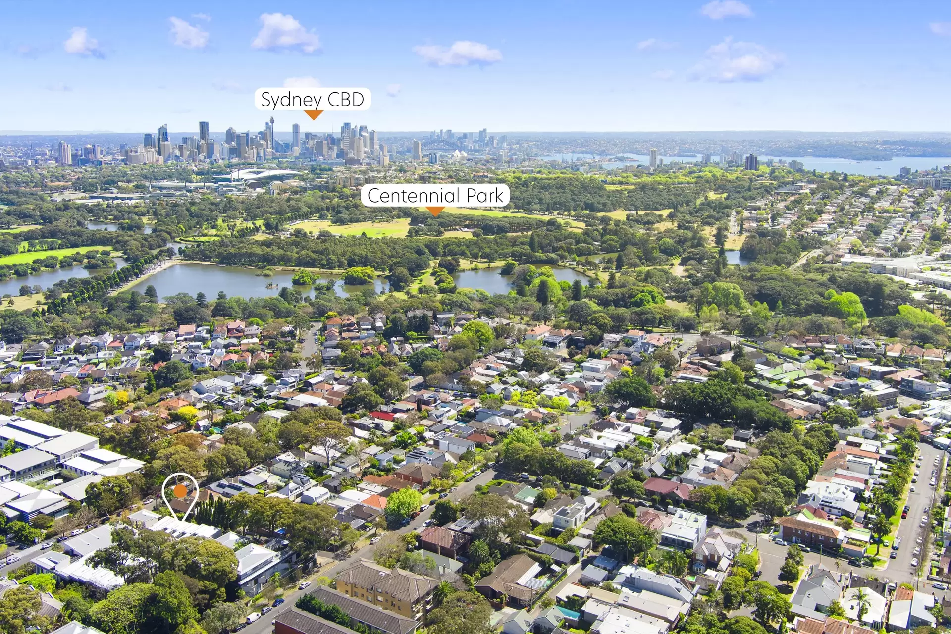 3/69-87 Dangar Street, Randwick Auction by Bradfield Badgerfox - image 1