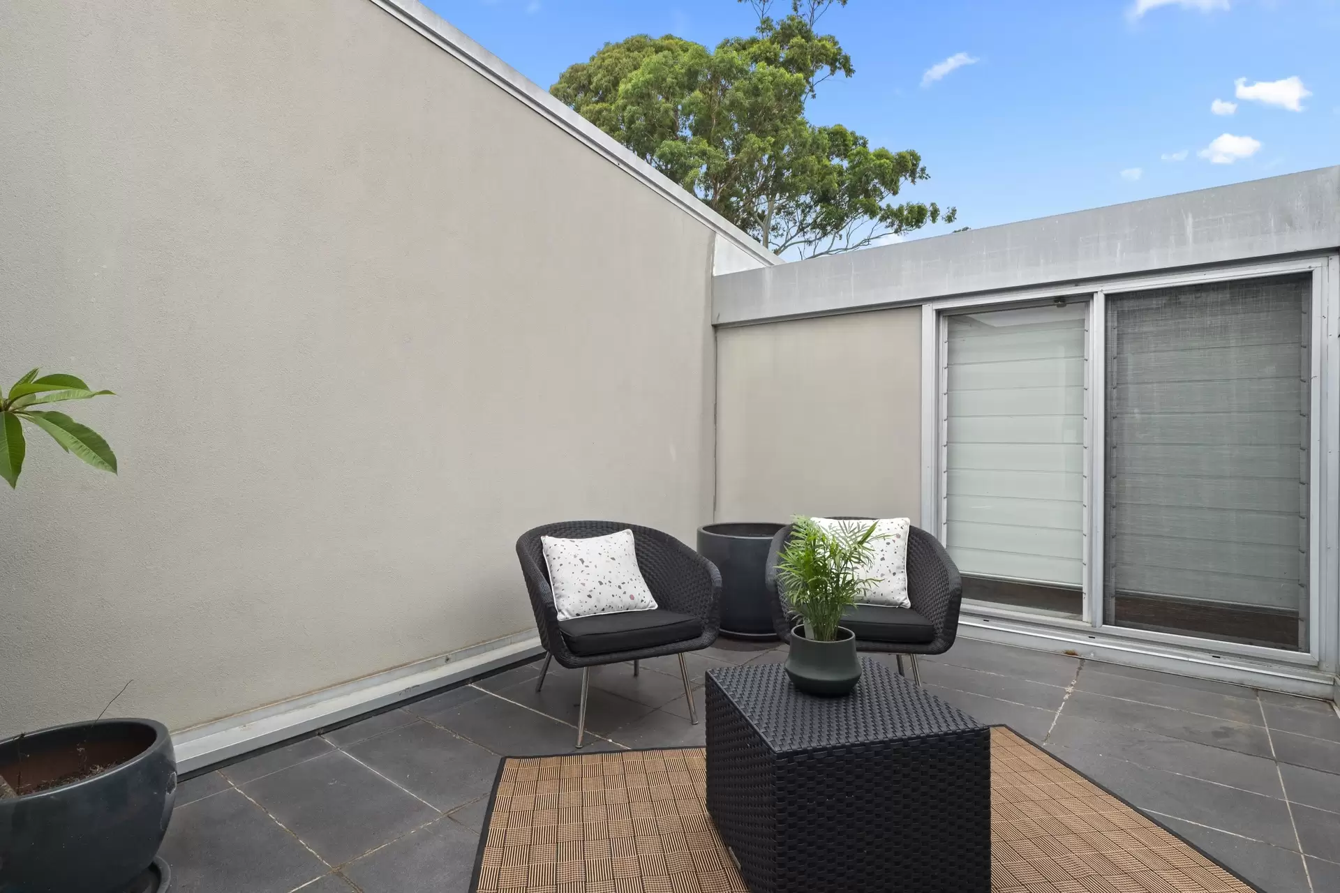 3/69-87 Dangar Street, Randwick Auction by Bradfield Badgerfox - image 1