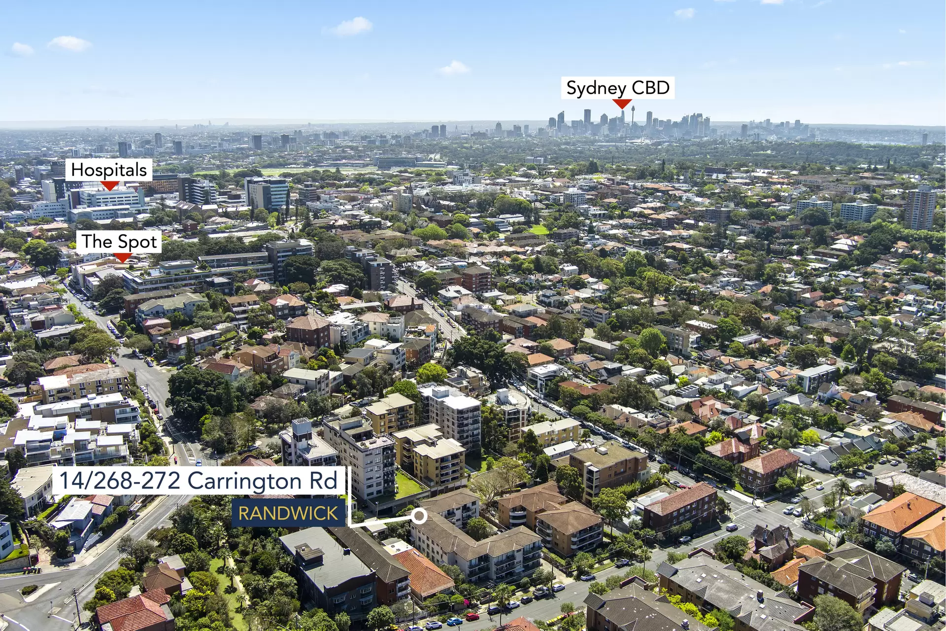 14/268 Carrington Road, Randwick Leased by Bradfield Badgerfox - image 1