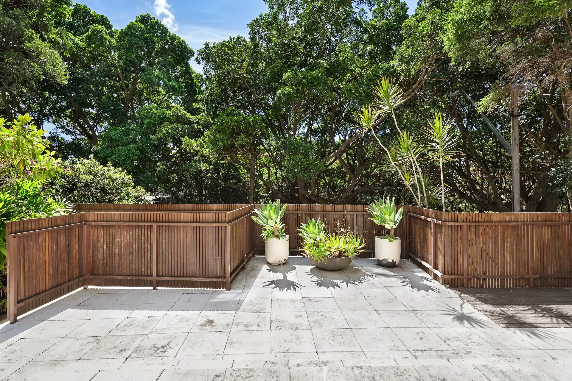 137 O'Sullivan Road, Bellevue Hill Auction by Bradfield Badgerfox - image 1