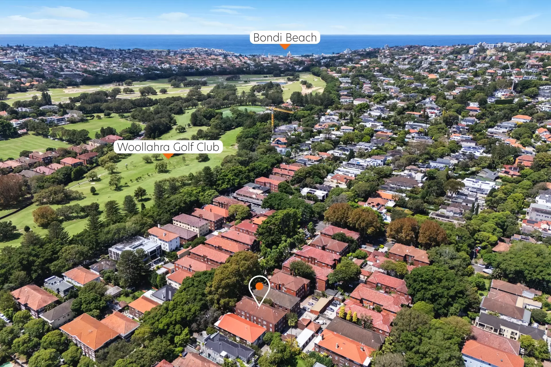 8/22 Balfour Road, Rose Bay Auction by Bradfield Badgerfox - image 1