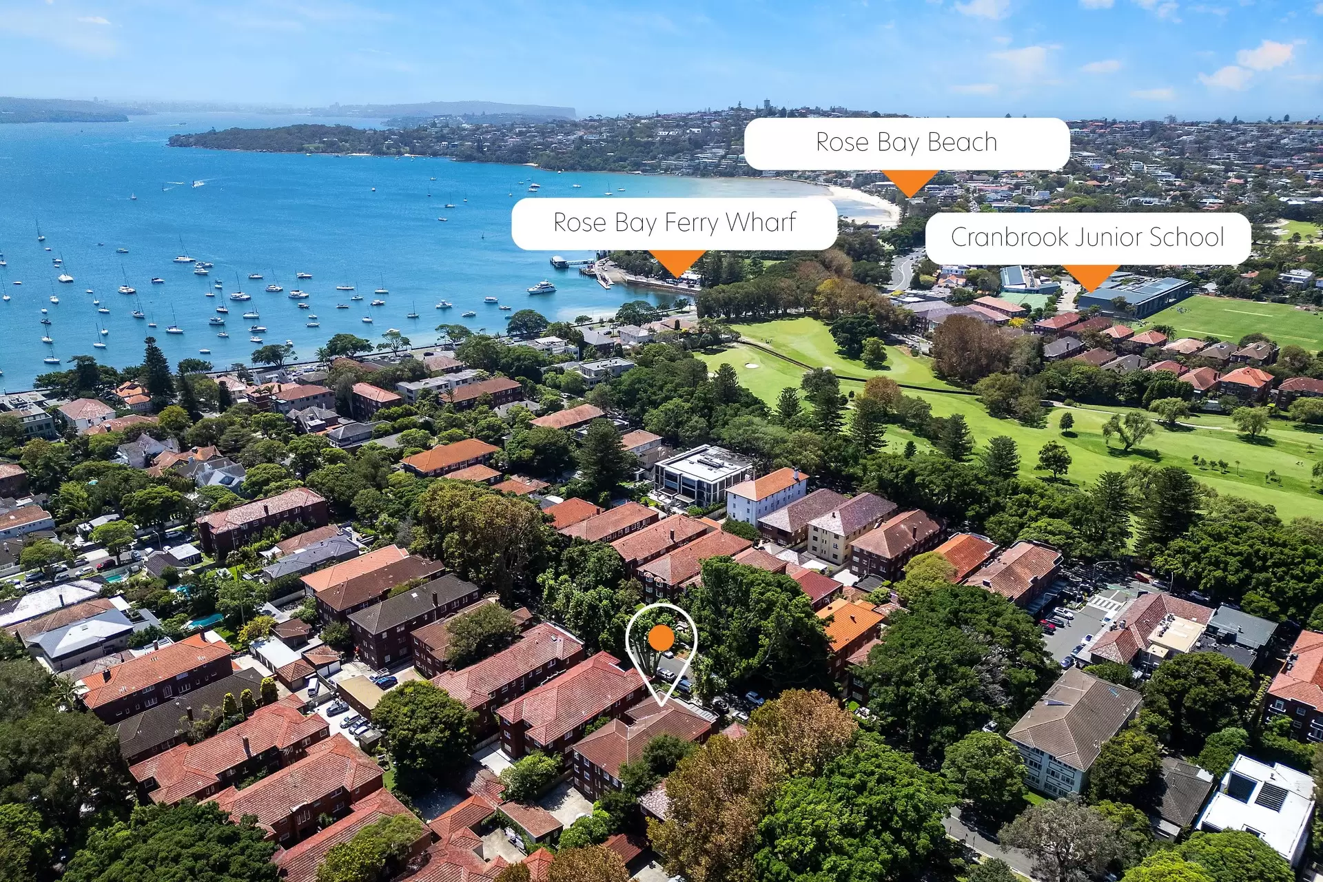 6/32 Balfour Road, Rose Bay Auction by Bradfield Badgerfox - image 1