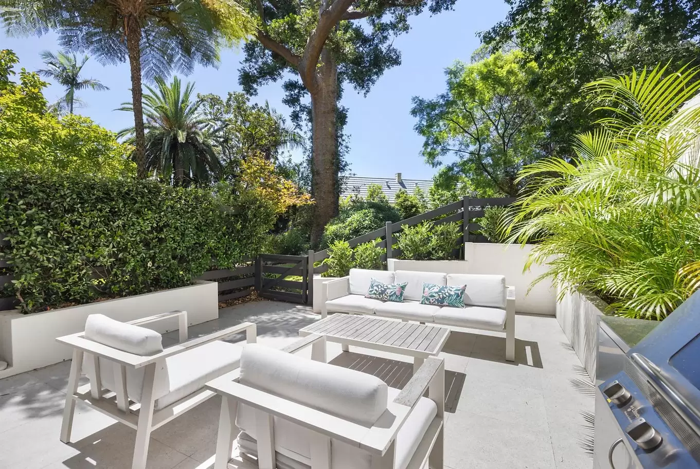 15/16-18 Rosemont Avenue, Woollahra For Lease by Bradfield Badgerfox - image 1