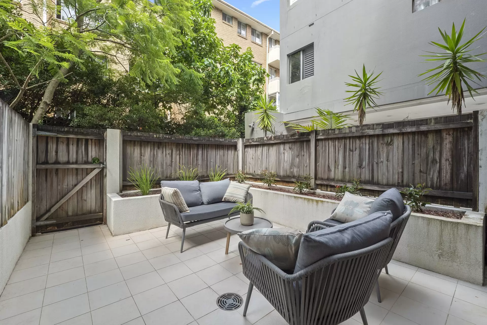 4/9-15 William Street, Randwick For Lease by Bradfield Badgerfox - image 1