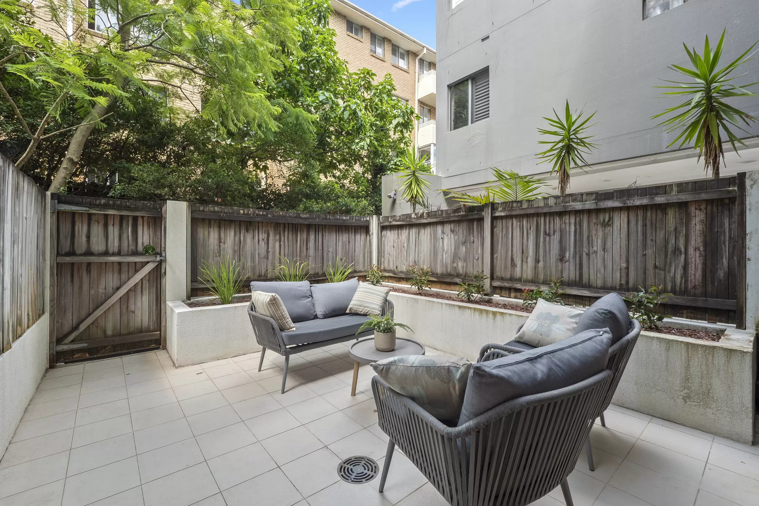 4/9-15 William Street, Randwick For Lease by Bradfield Badgerfox - image 1