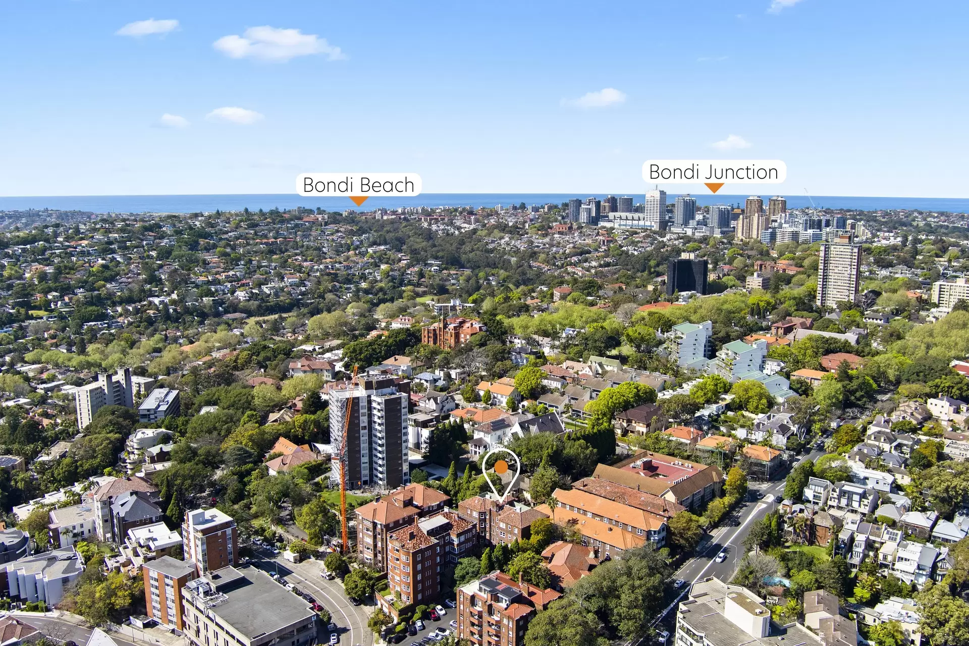 11/454 Edgecliff Road, Edgecliff Auction by Bradfield Badgerfox - image 1