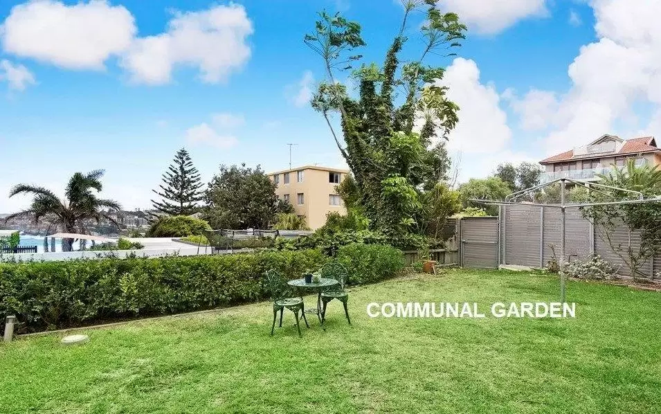 1/61 Fletcher, Bondi For Lease by Bradfield Badgerfox - image 1