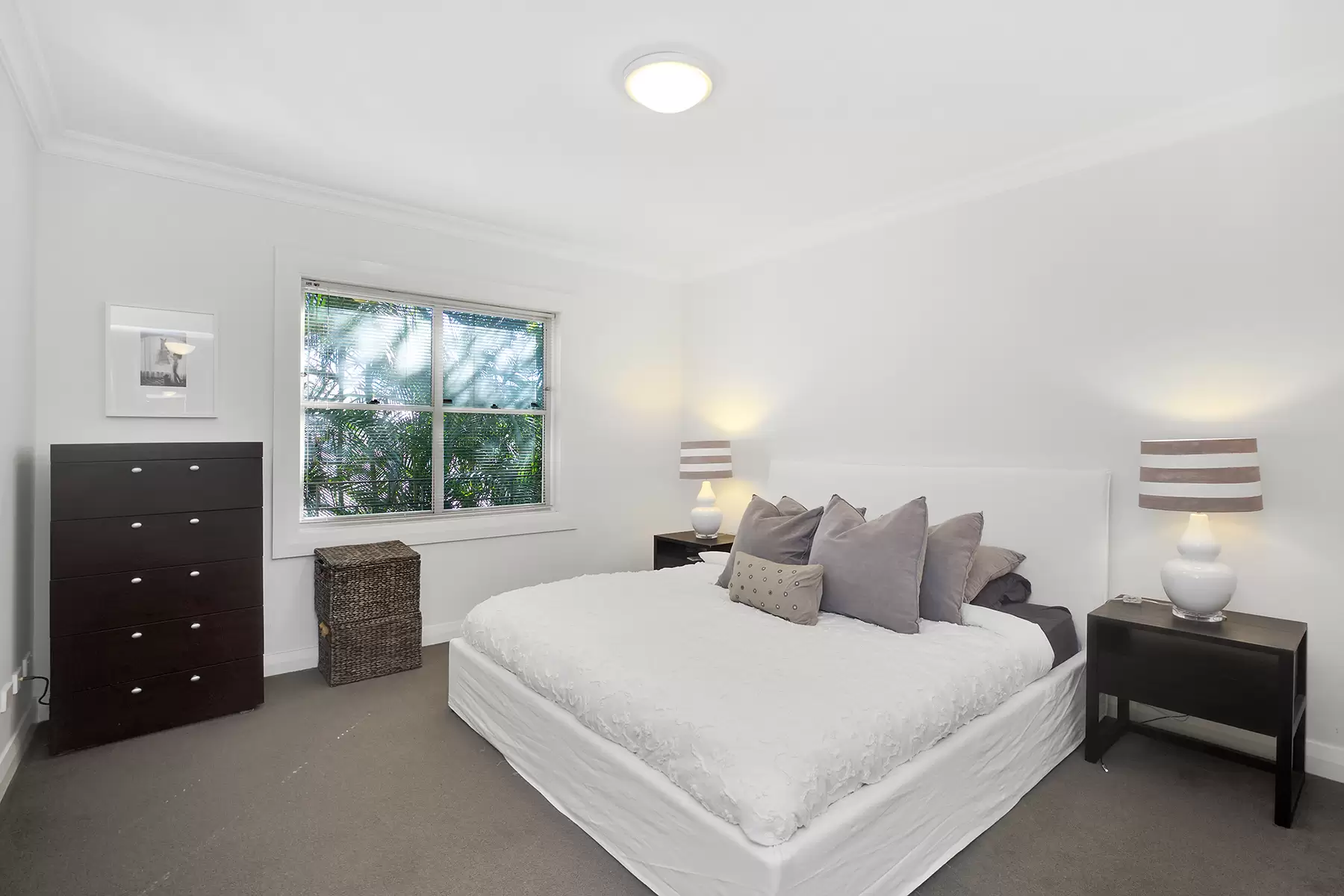 8/17 Newcastle Street, Rose Bay For Lease by Bradfield Badgerfox - image 1