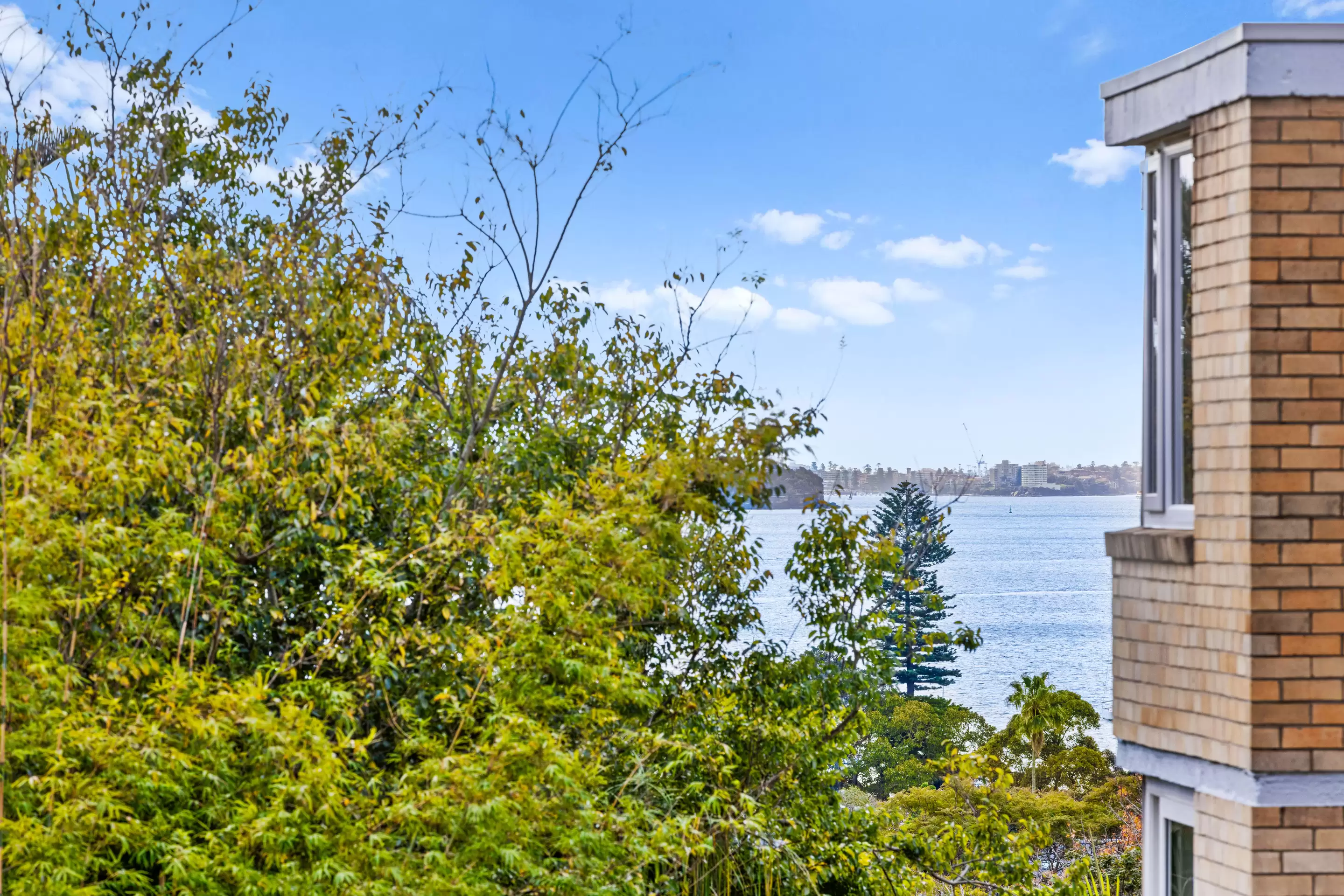 4/230 New South Head Road, Edgecliff For Lease by Bradfield Badgerfox - image 1