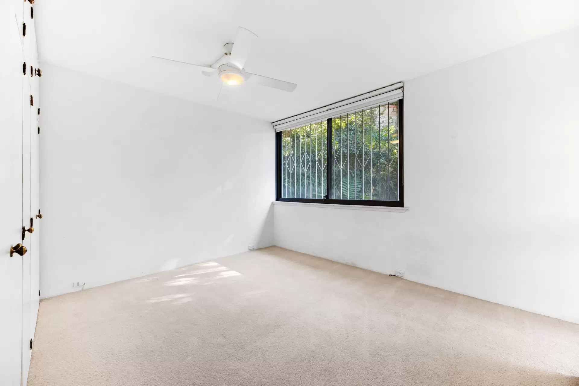 2D/45 Ocean Avenue, Double Bay For Lease by Bradfield Badgerfox - image 1