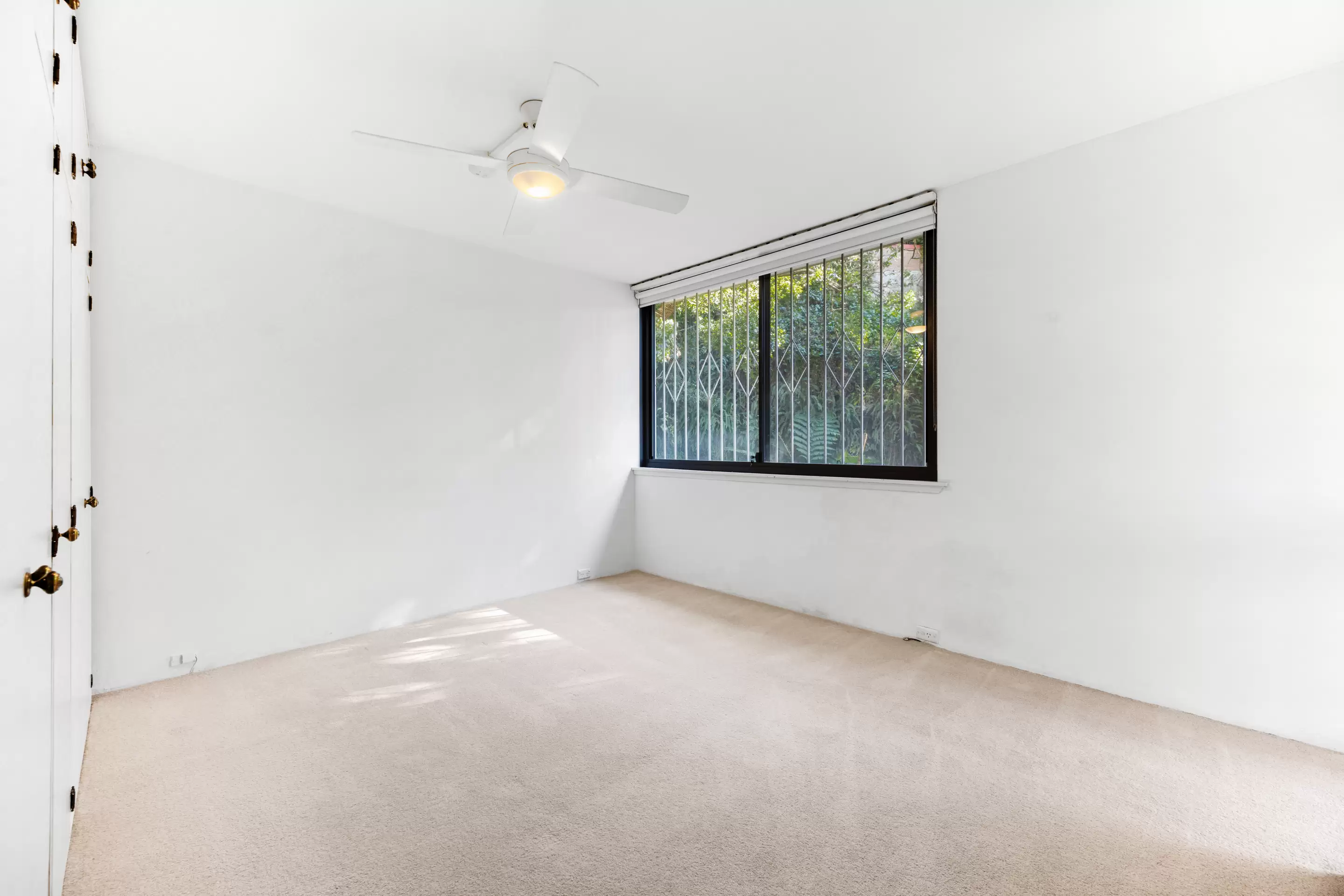 2D/45 Ocean Avenue, Double Bay For Lease by Bradfield Badgerfox - image 1