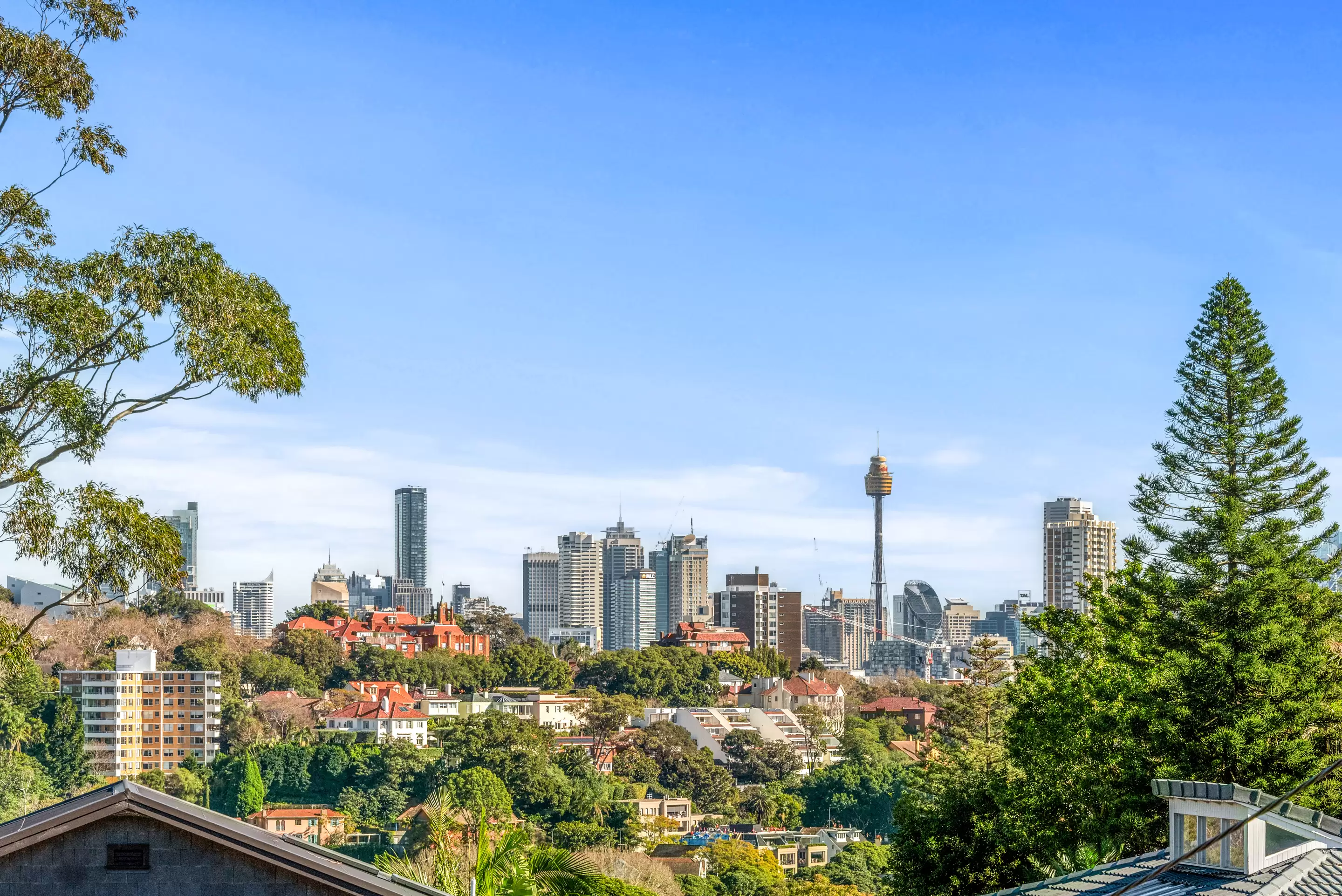 3/22 Streatfield Road, Bellevue Hill For Lease by Bradfield Badgerfox - image 1