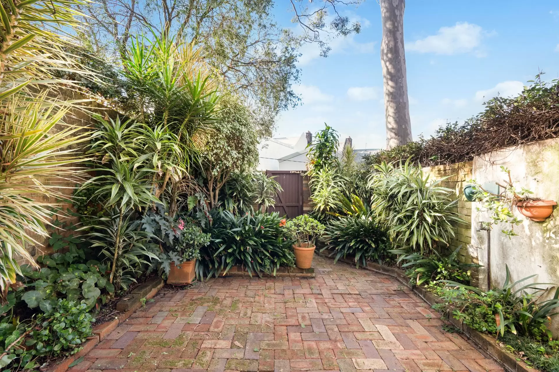 5 Glenview Street, Paddington Tender by Bradfield Badgerfox - image 1