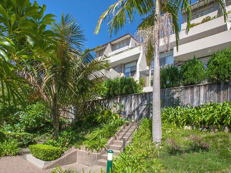 317 Edgecliff Road, Woollahra Sold by Bradfield Badgerfox - image 1